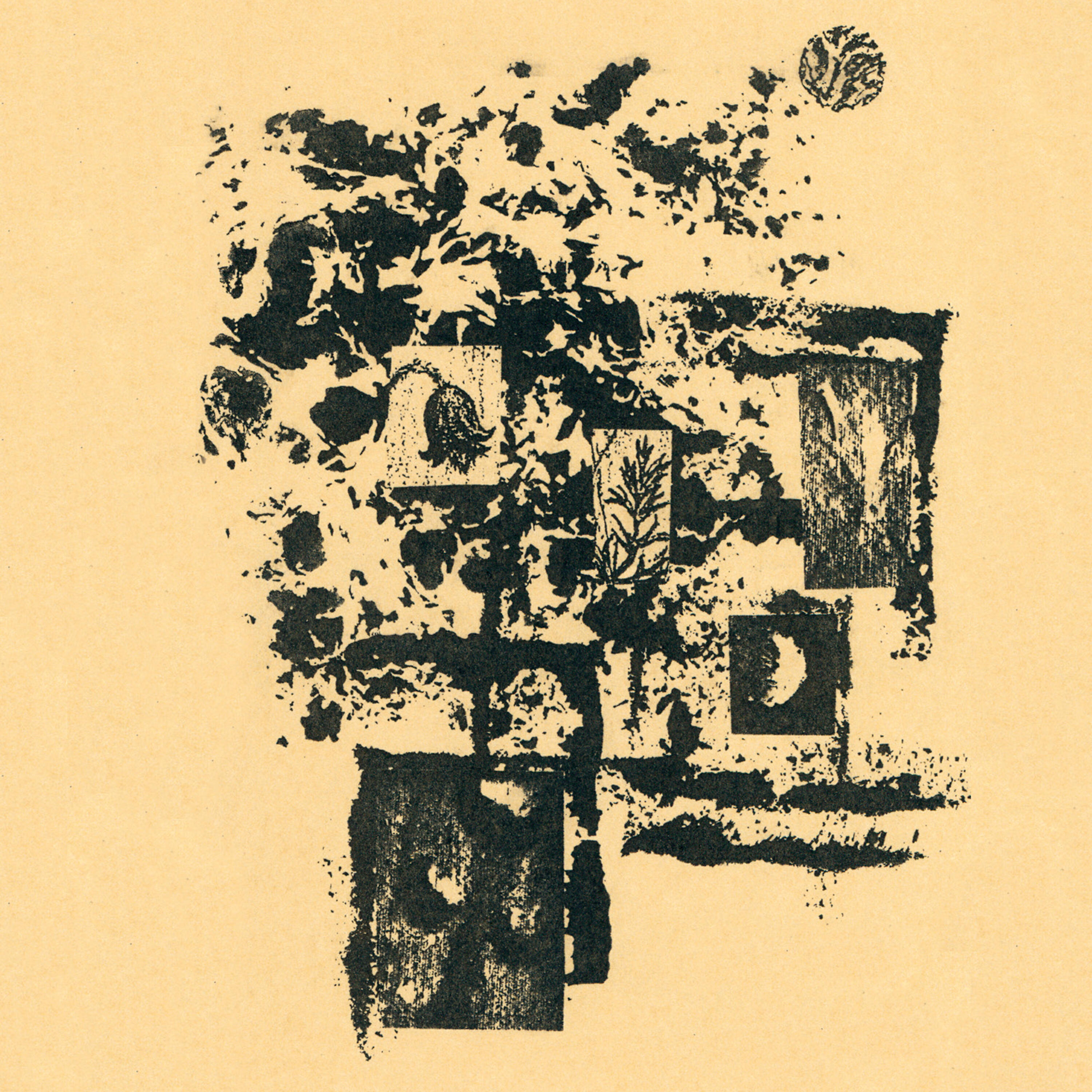 Jiří Kohoutek - Na malířově plátně