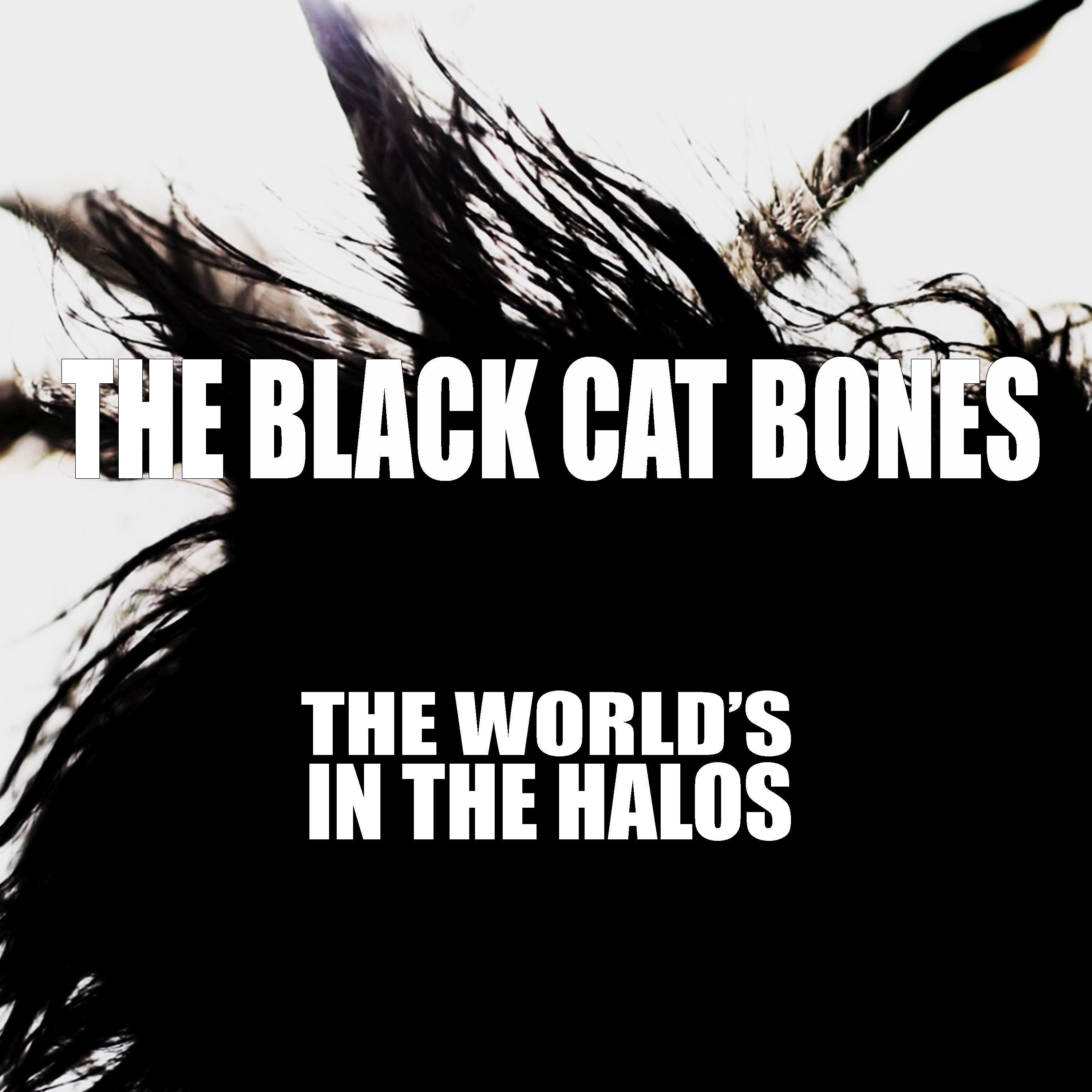 Постер альбома The World's in the Halos