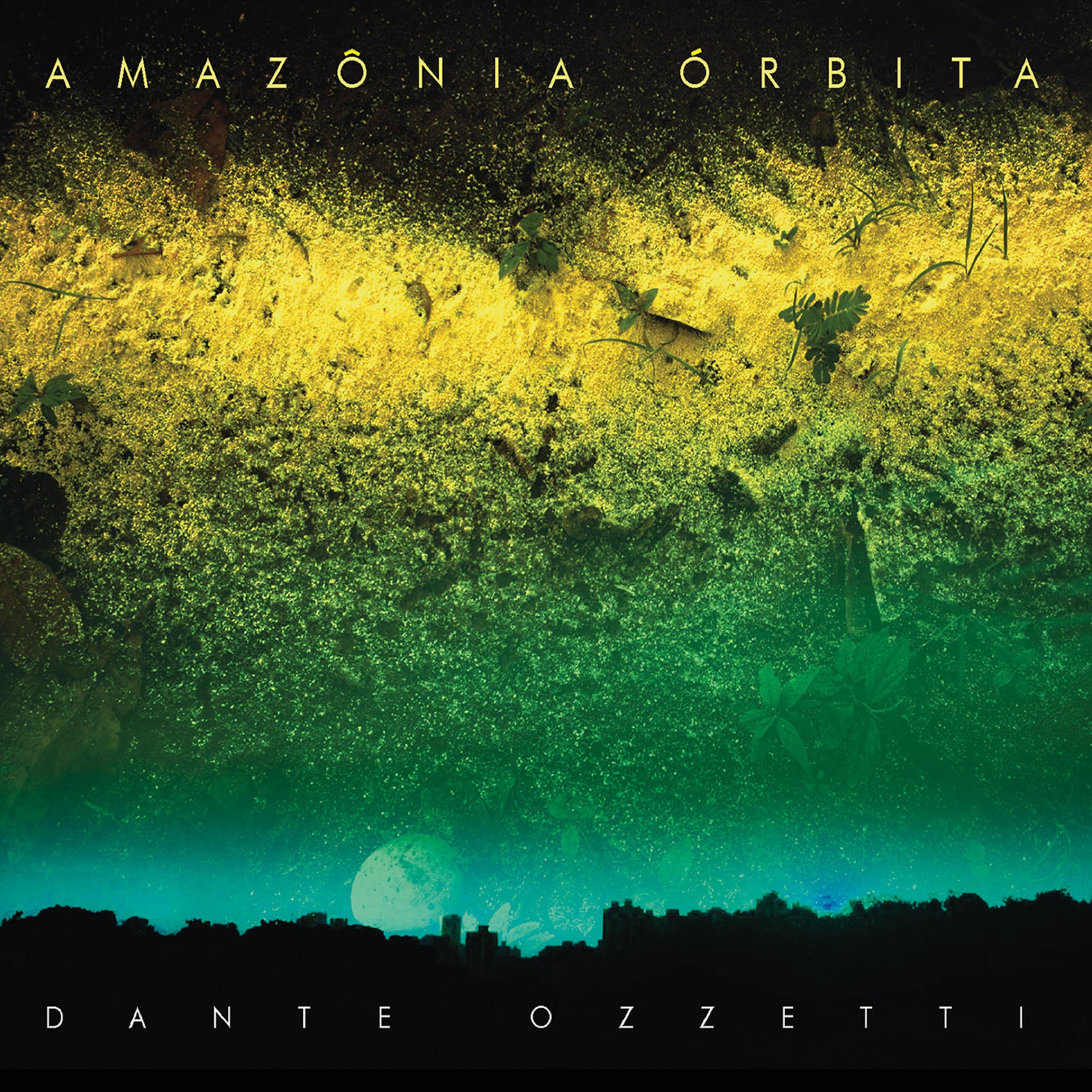 Постер альбома Amazônia Órbita