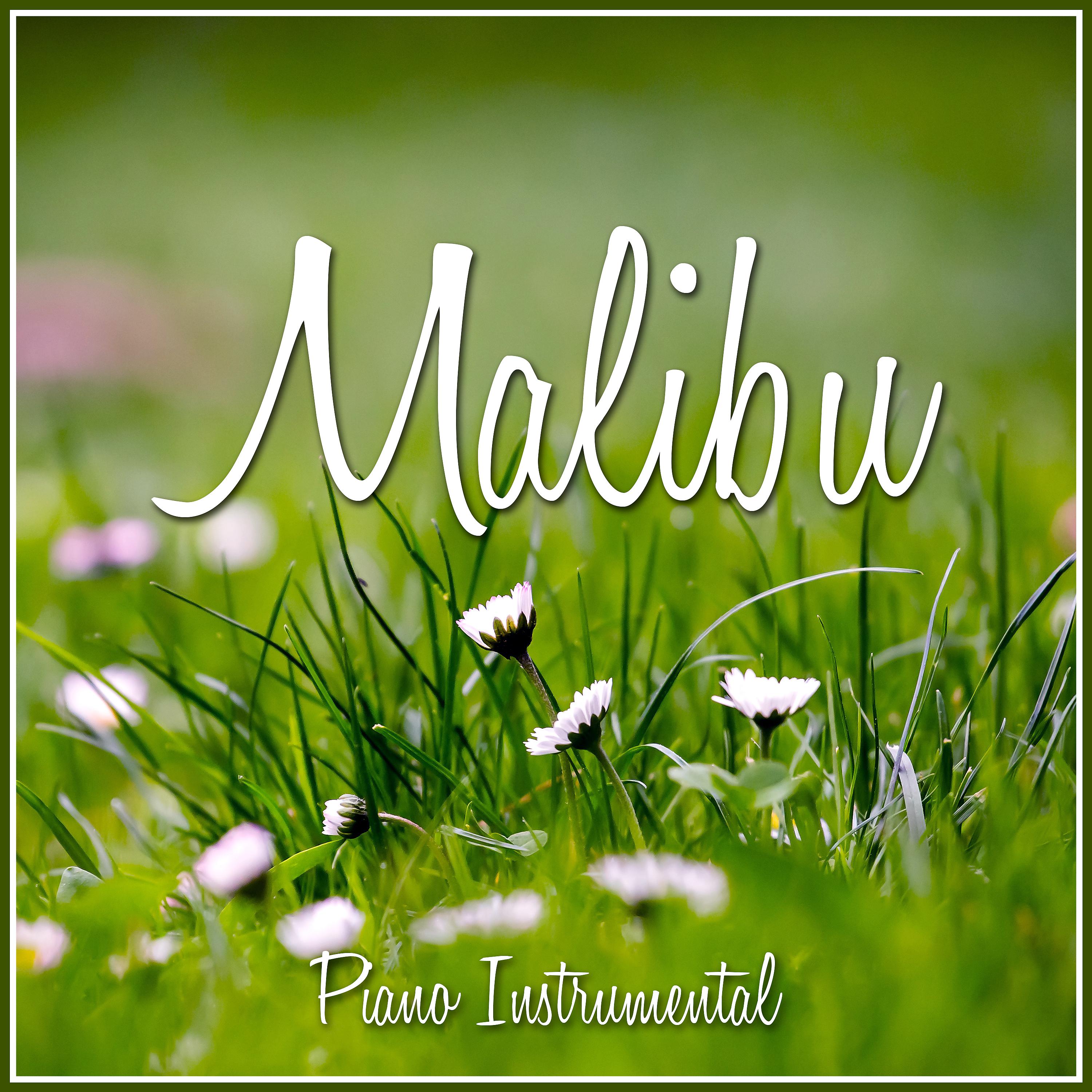 Постер альбома Malibu (Piano Rendition)