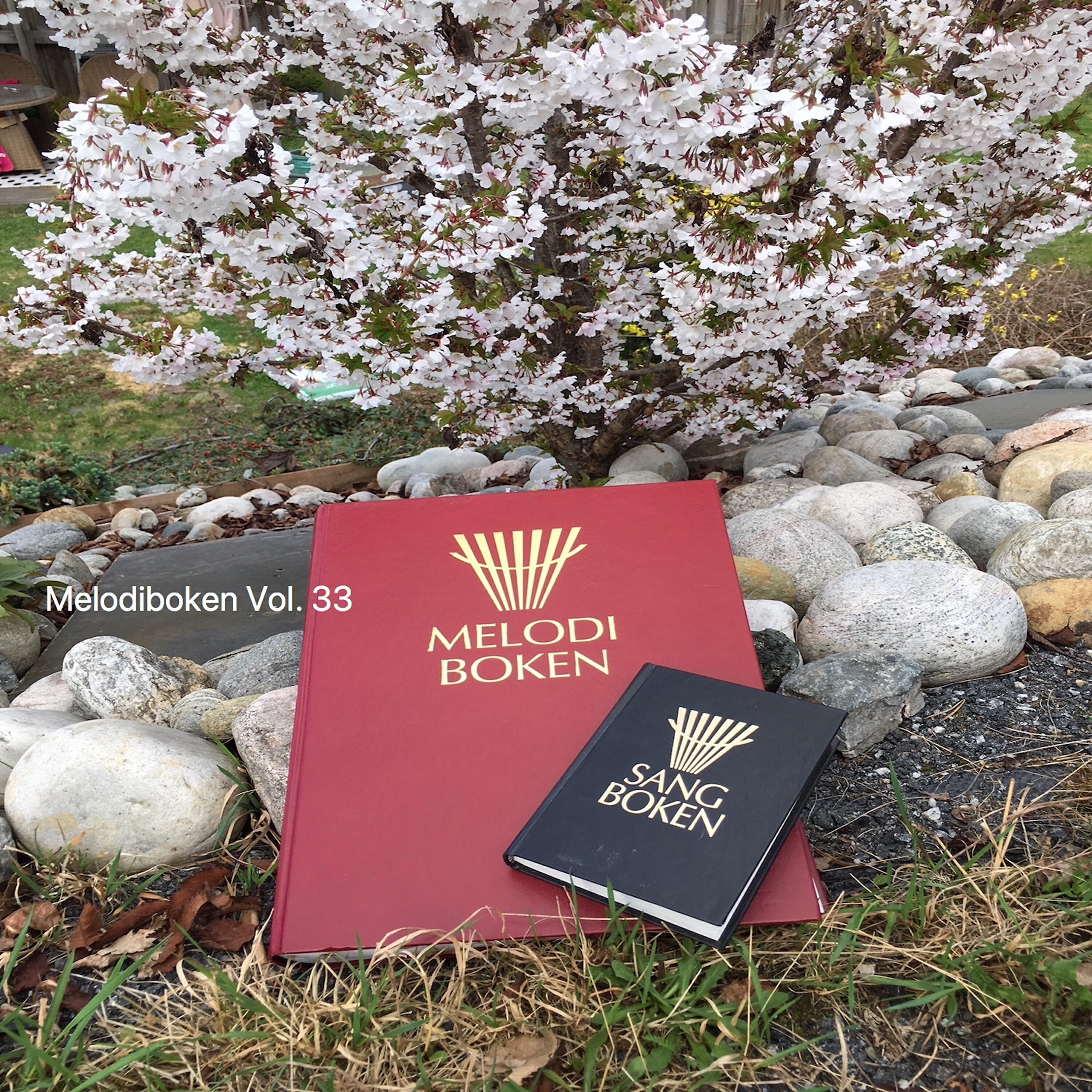 Johan Muren - Vik ei fra mitt hjerte