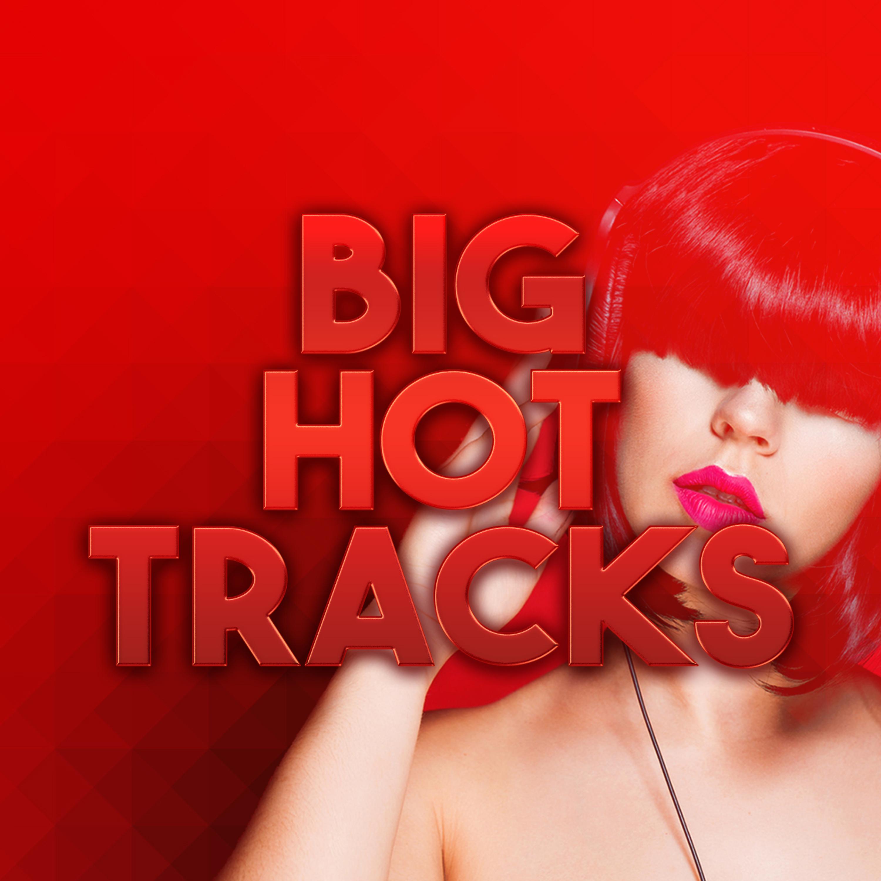 Постер альбома Big Hot Tracks