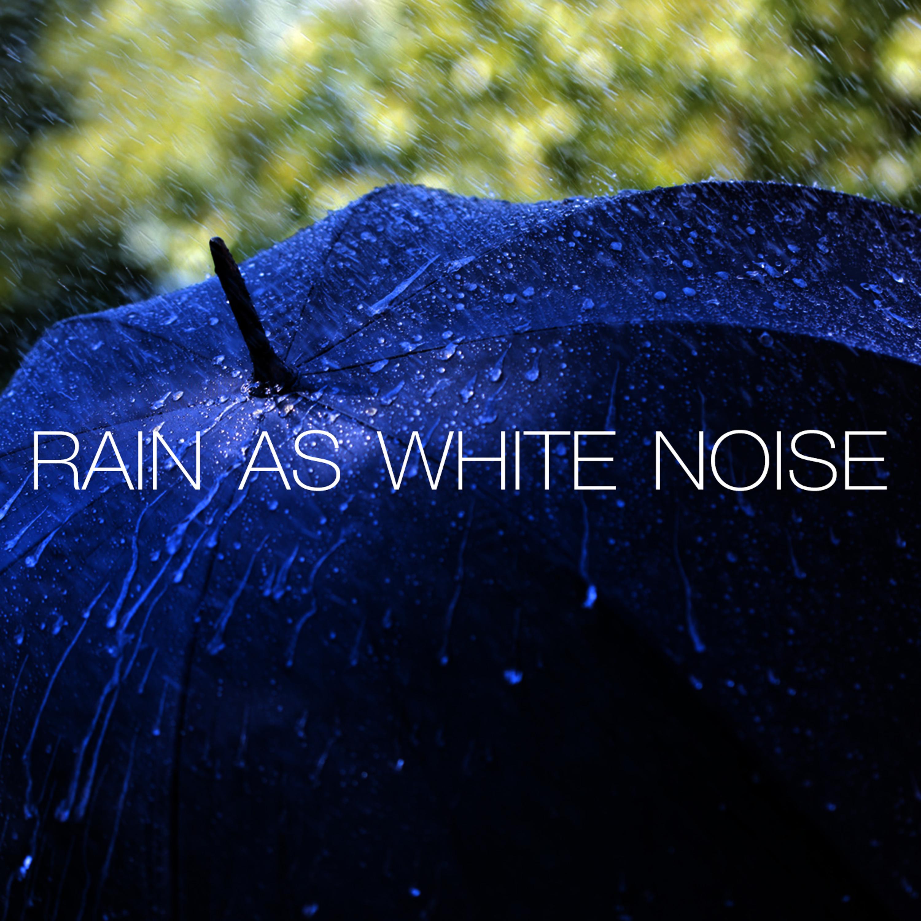Постер альбома Rain as White Noise