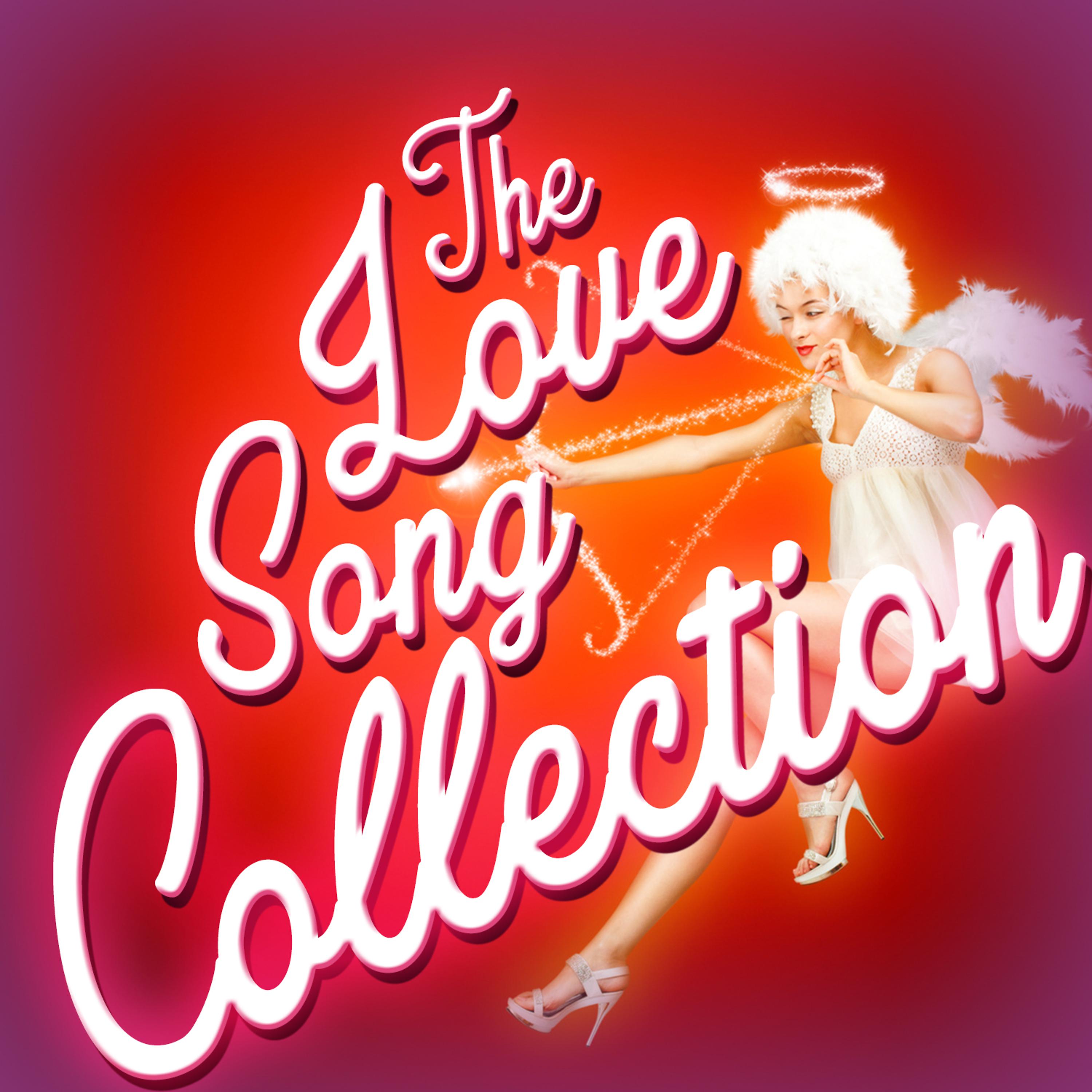 Постер альбома The Love Song Selection