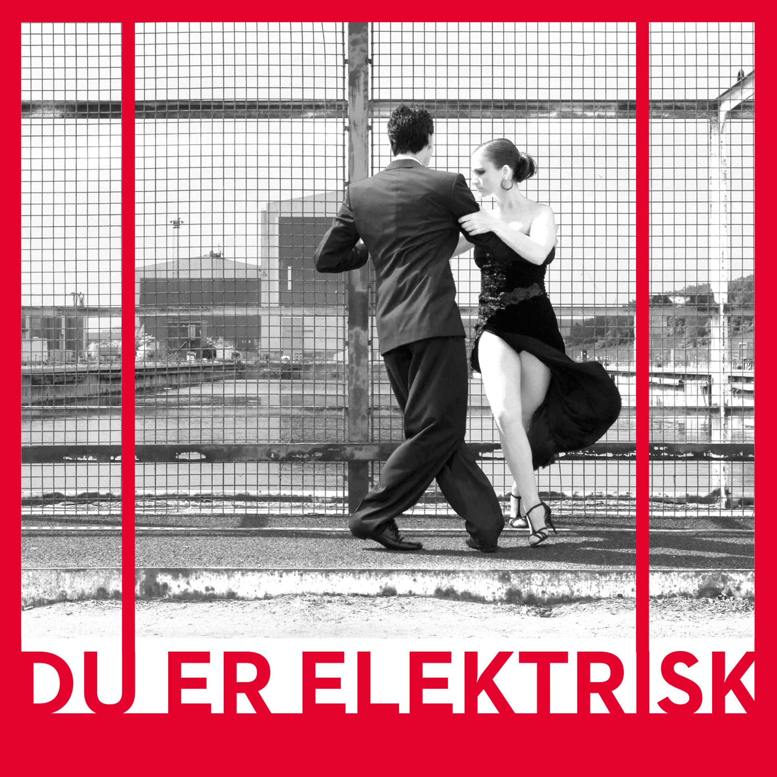 Постер альбома Du Er Elektrisk