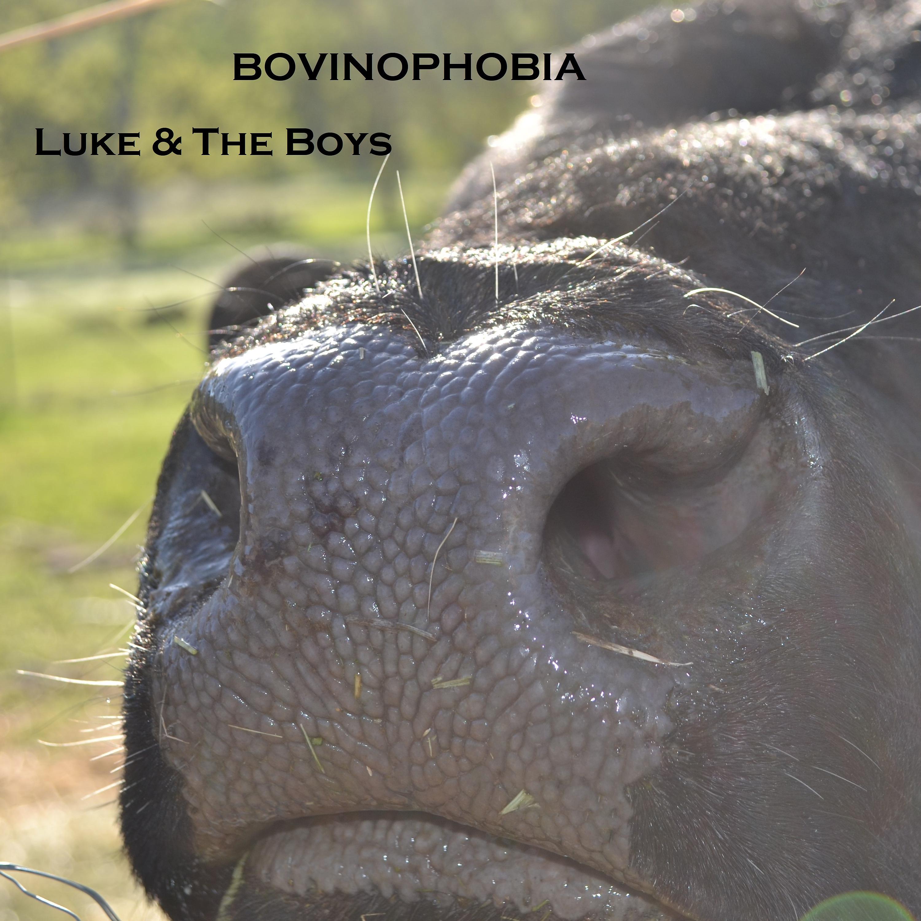 Постер альбома Bovinophobia