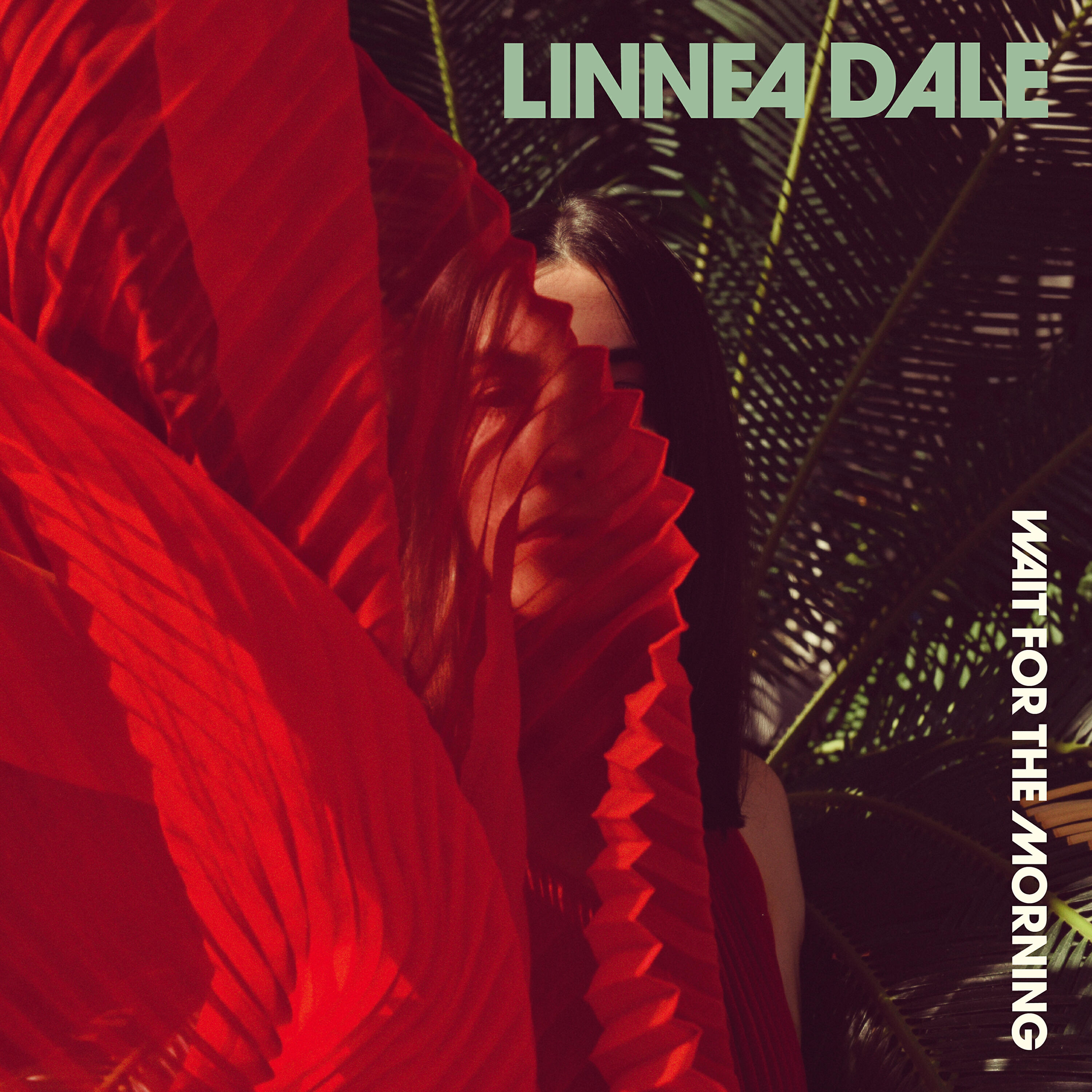 Linnea Dale - Like a Bullet