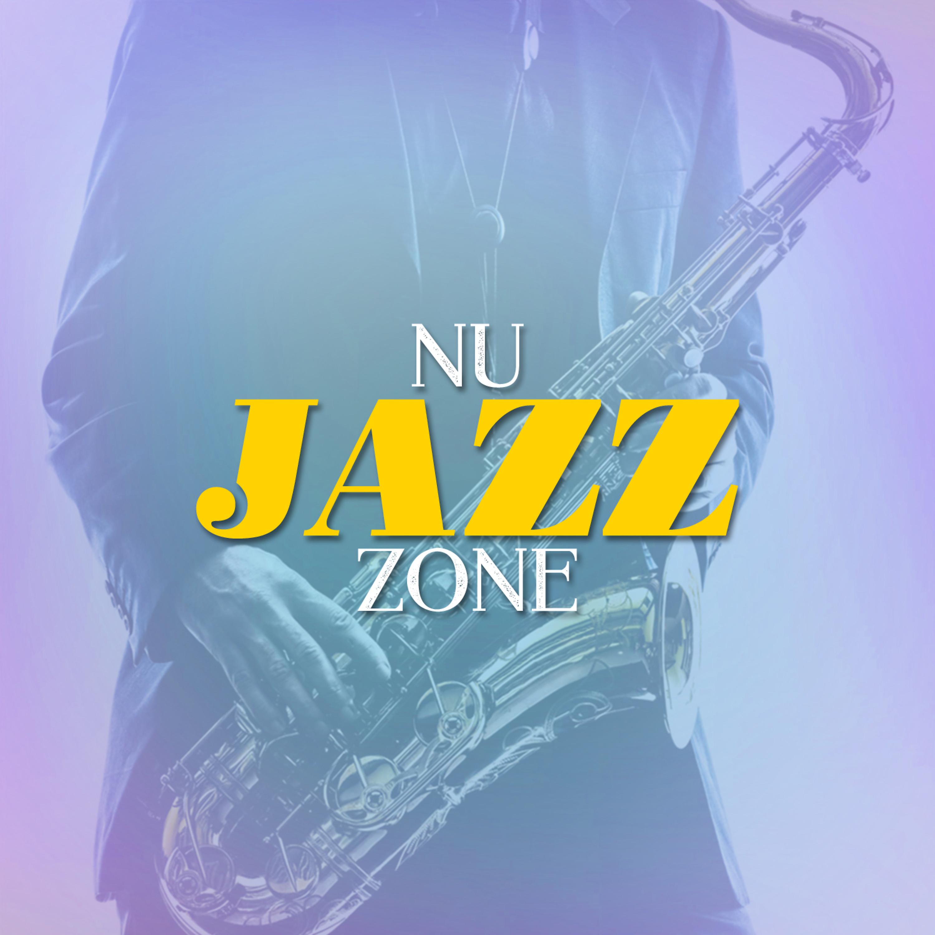 Постер альбома Nu Jazz Zone