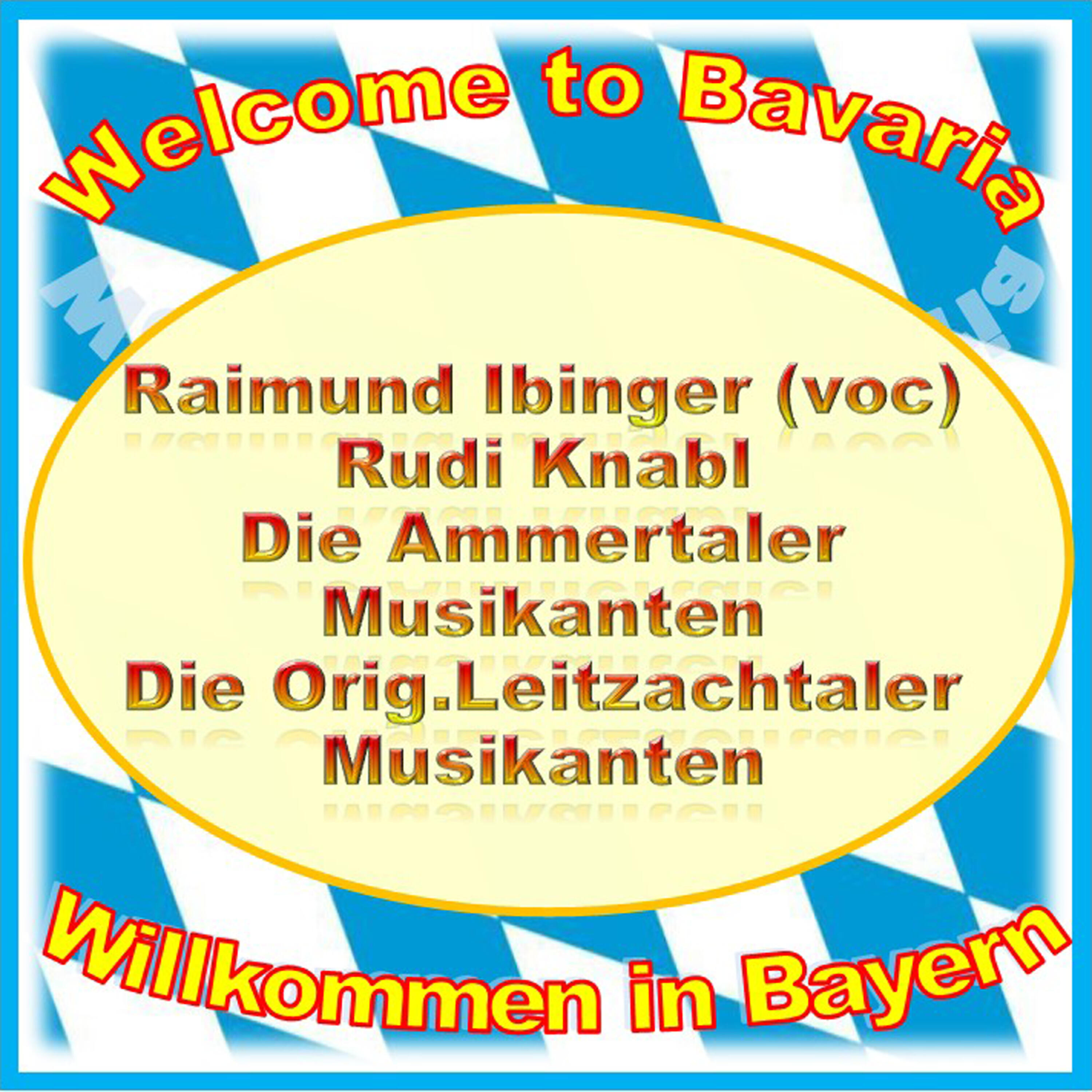 Die Ammertaler Musikanten - Treffpunkt Edelweiss