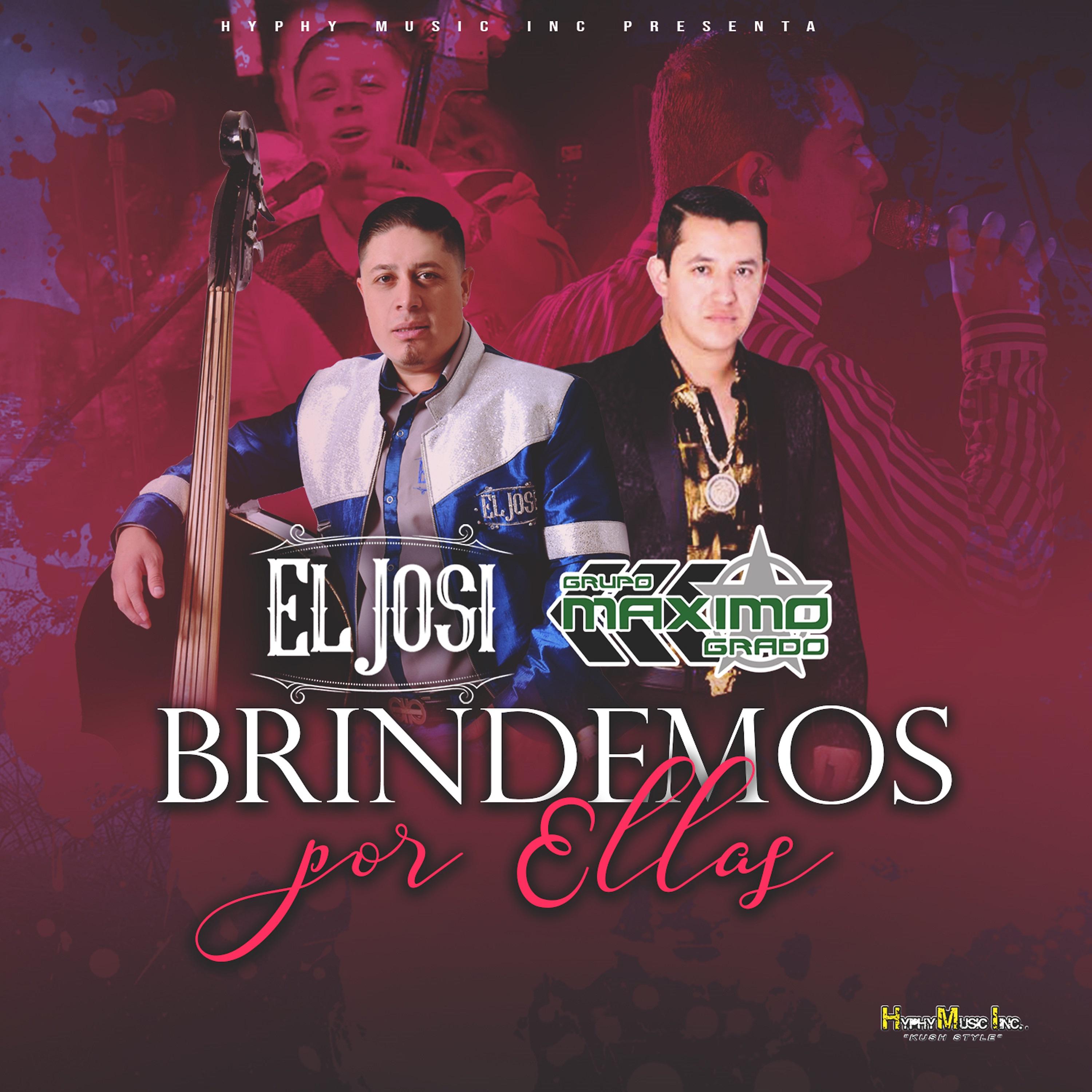 Постер альбома Brindemos por Ellas (En Vivo)