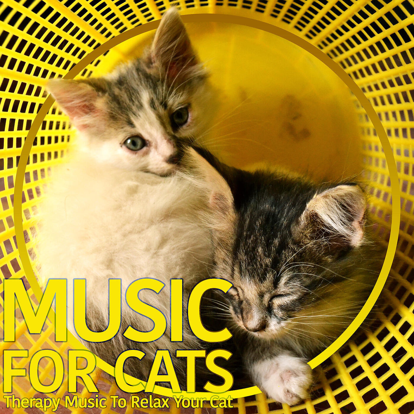 Music For Cats Peace - Comforting Evenings