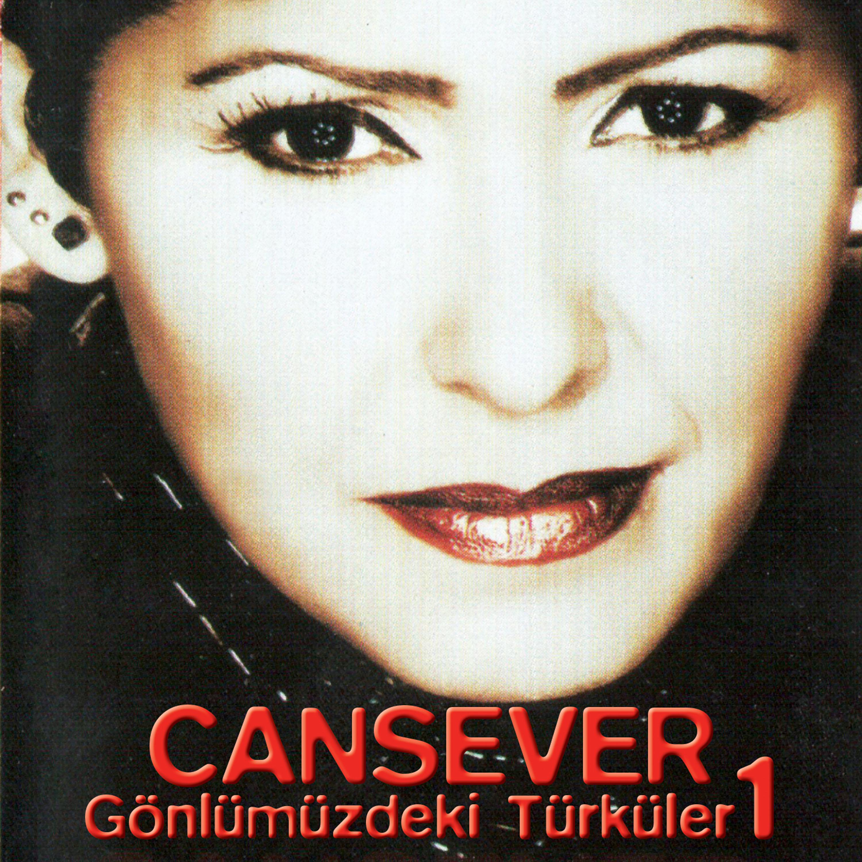 Постер альбома Gönlümüzdeki Türküler, Vol.1