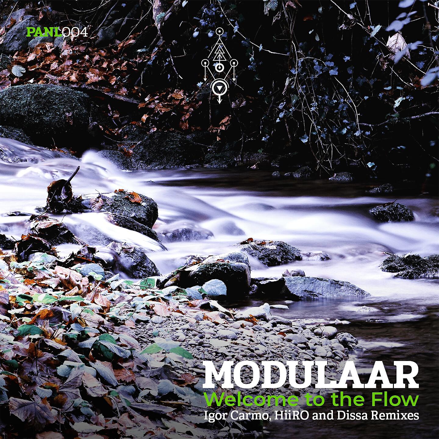 Modulaar - Welcome to the Flow (Igor Carmo Remix)