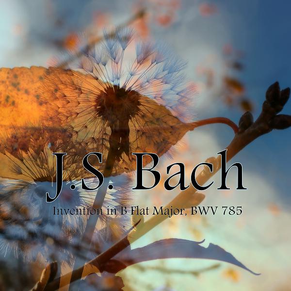 Постер альбома Invention in B Flat Major, BWV 785