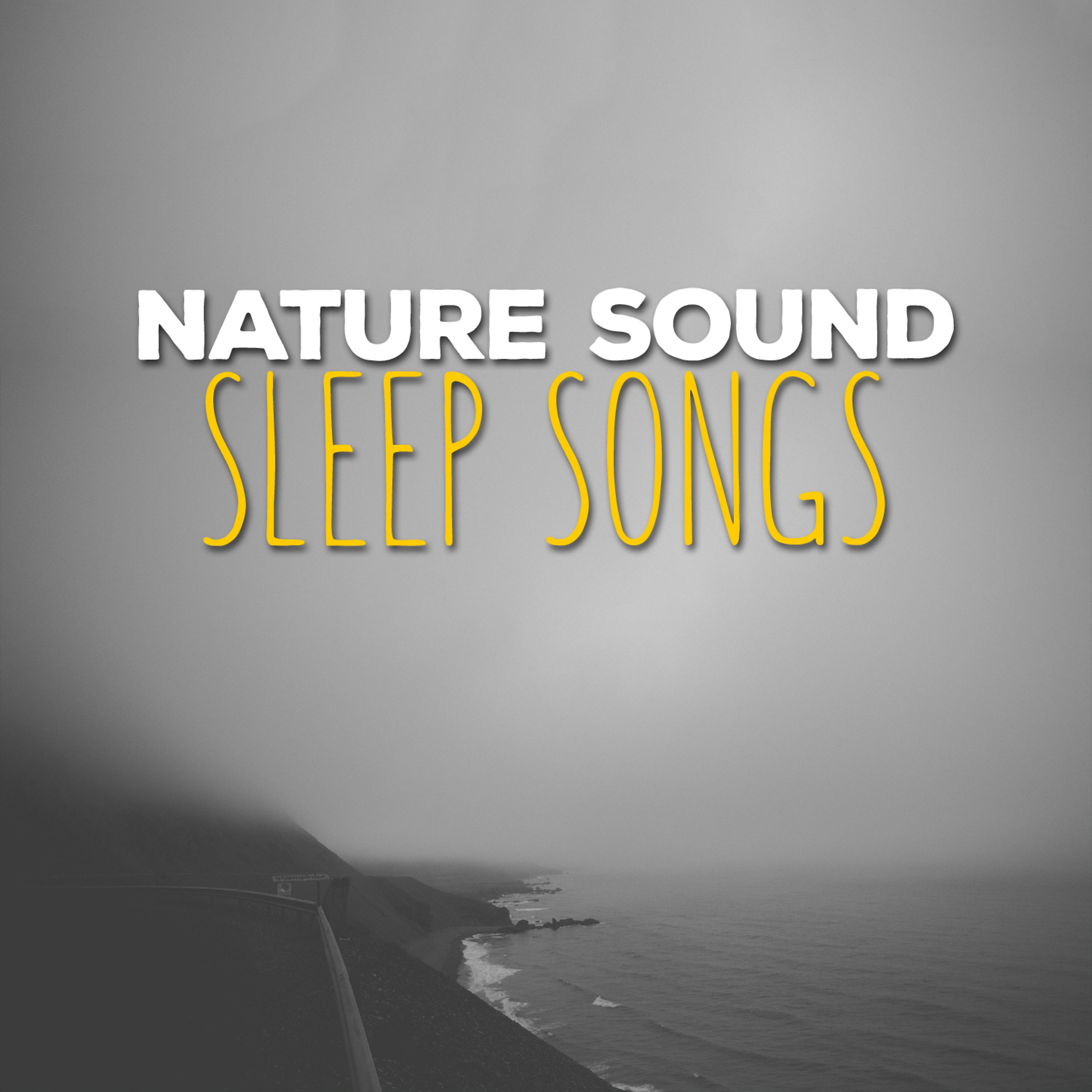 Постер альбома Nature Sound Sleep Songs
