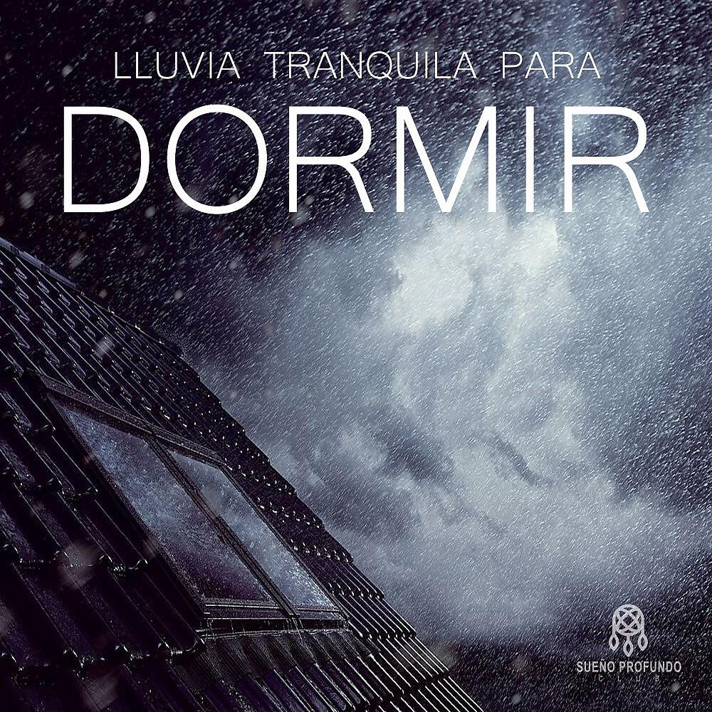 Lluvia del Bosque - Para Dormir: Luvia Tranquila, Pt. 05