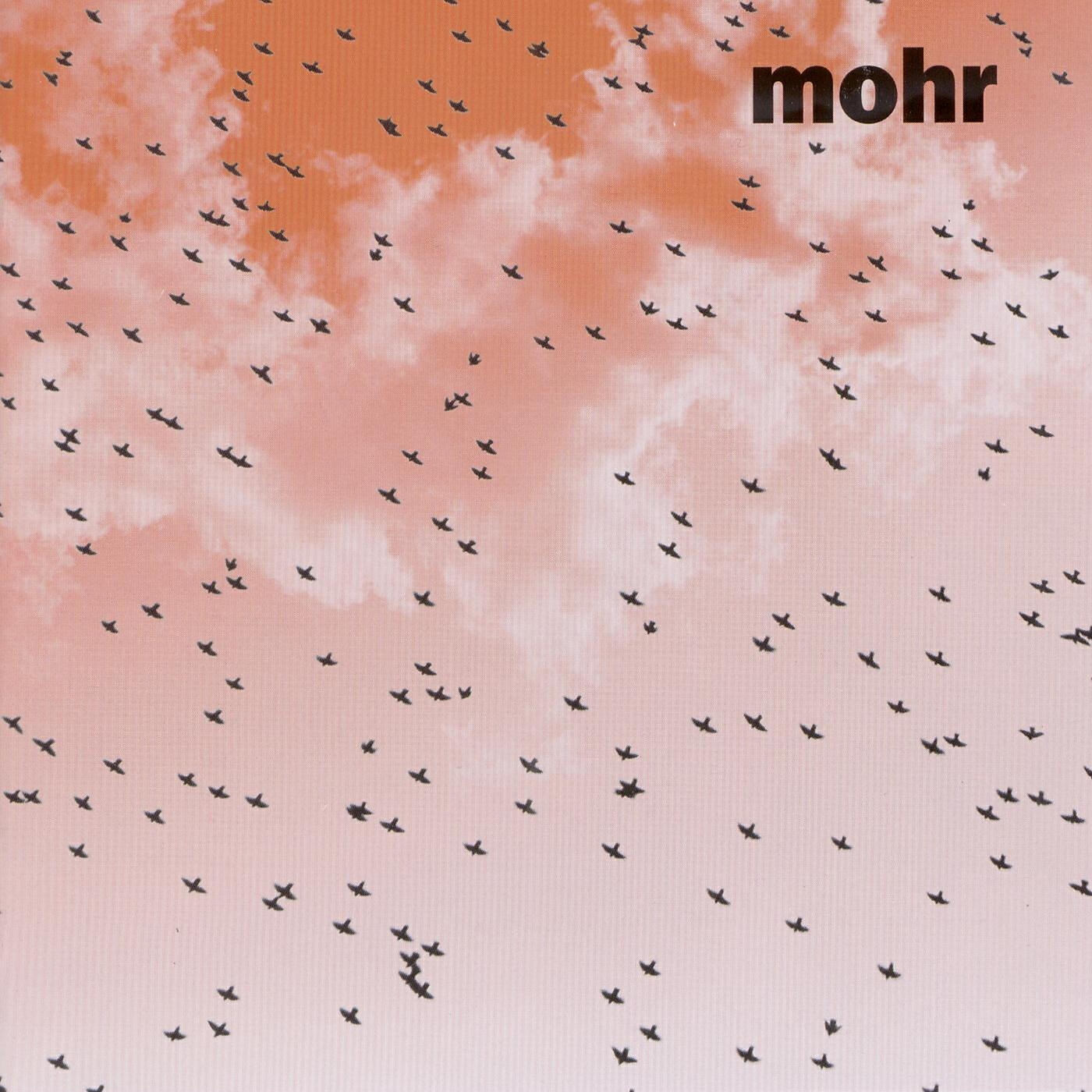 Mohr - Islington