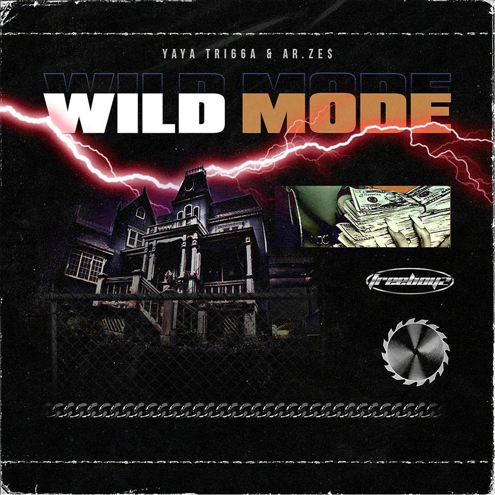 Постер альбома Wild Mode