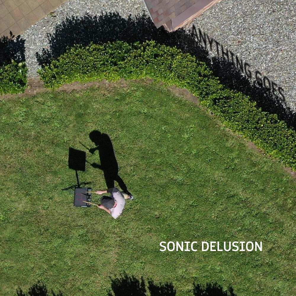 Sonic Delusion - This Is What I Want to Do