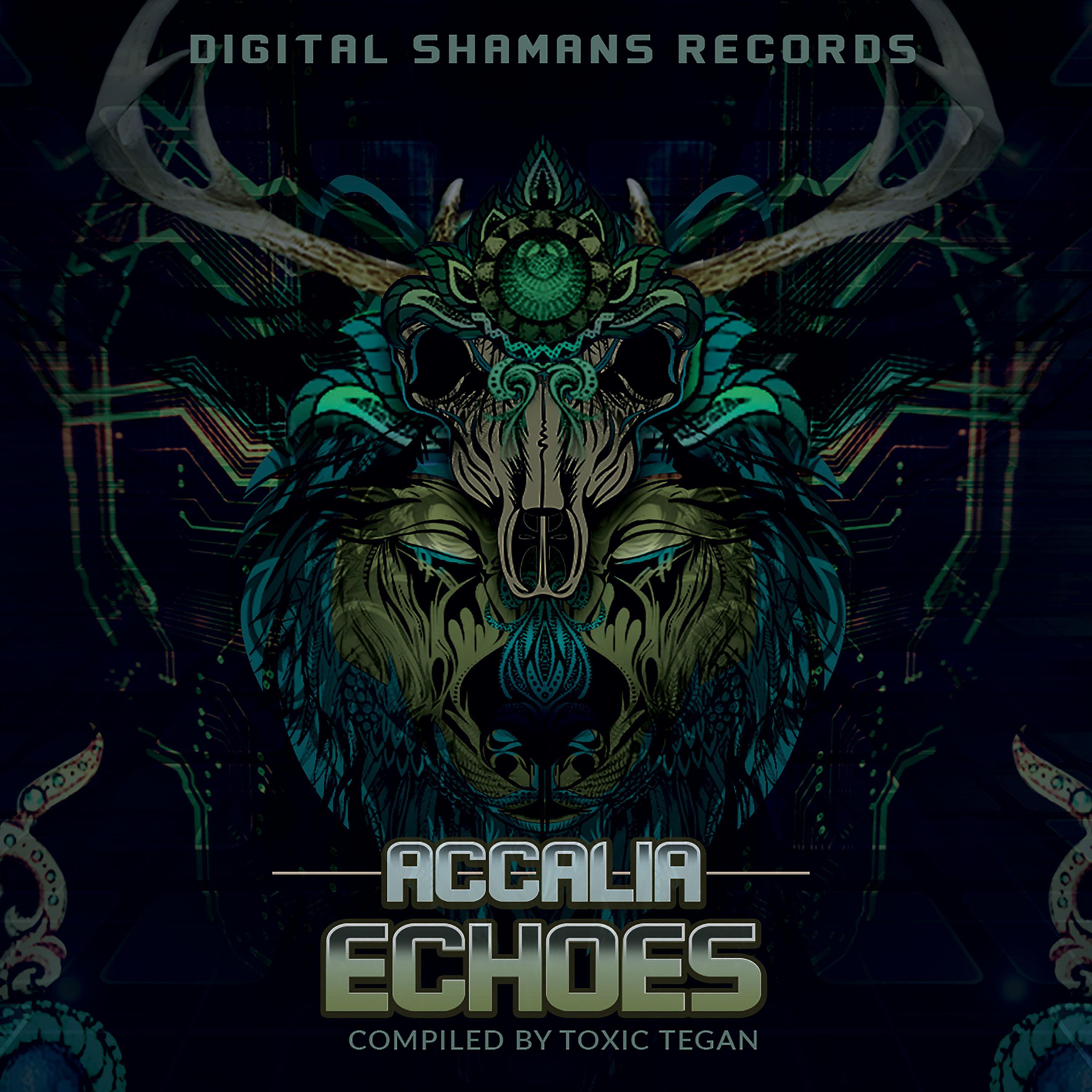 Постер альбома Accalia Echoes - Compiled by Toxic Tegan
