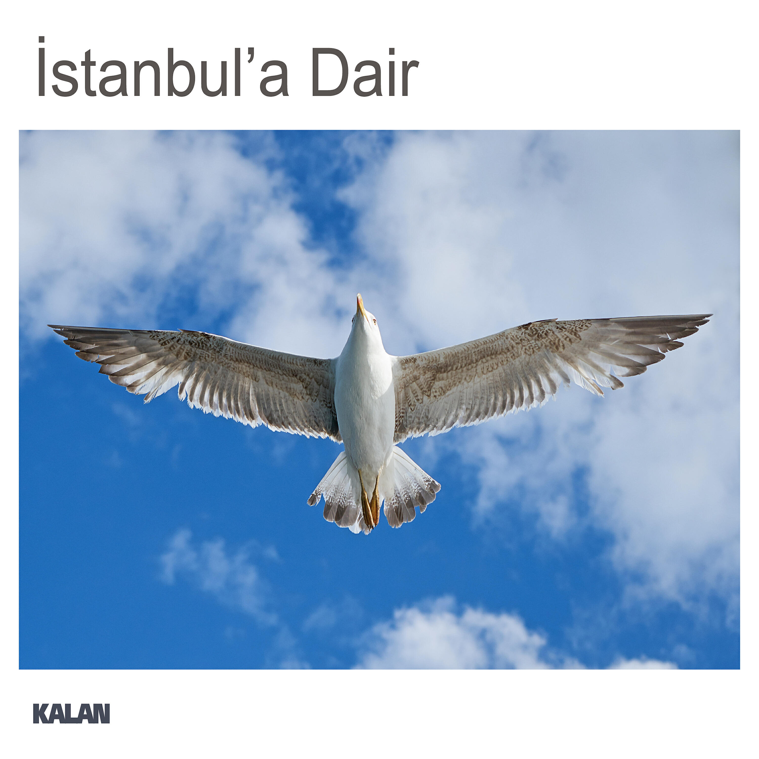 Ertan Tekin - Gözyaşı - Canım İstanbul