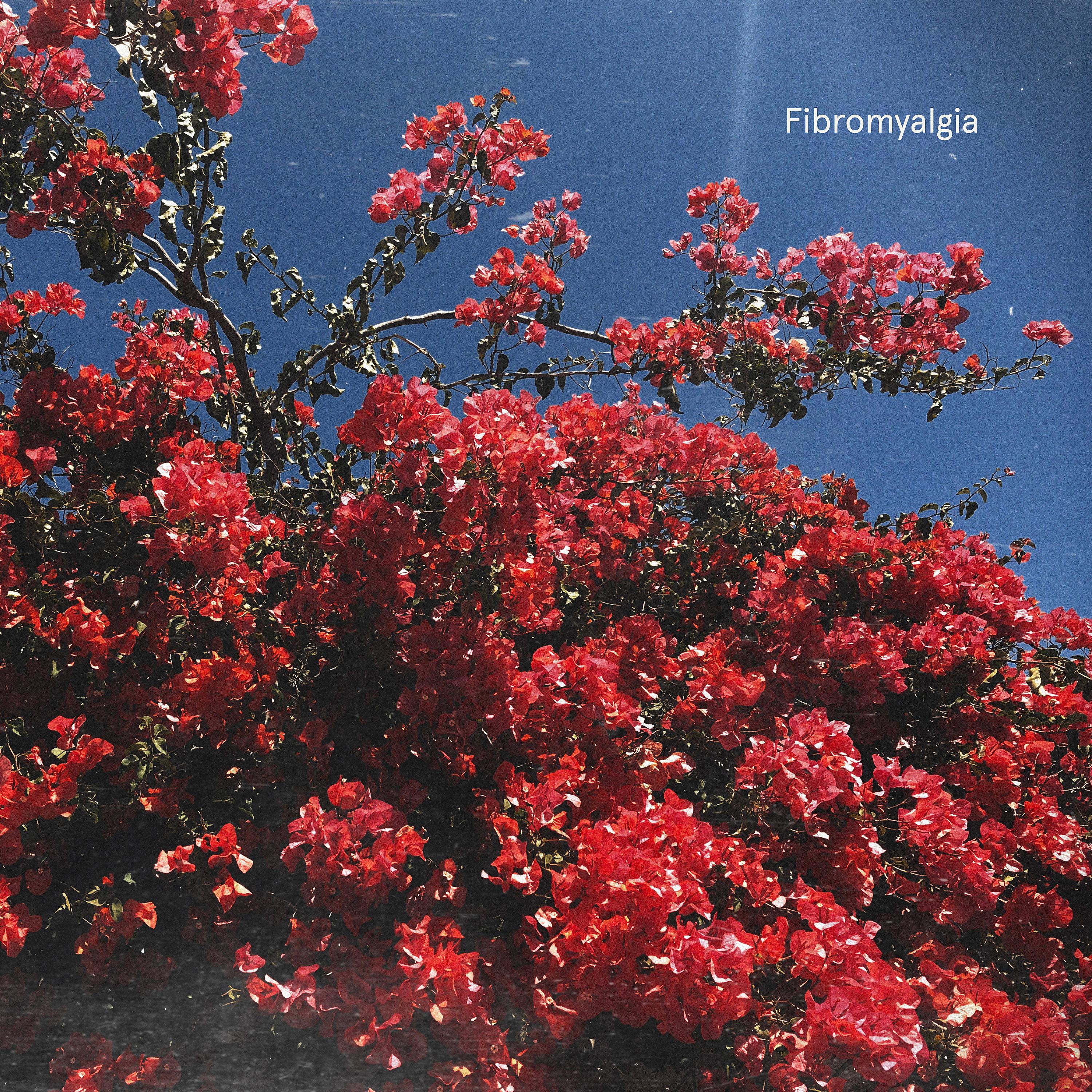 Постер альбома Fibromyalgia