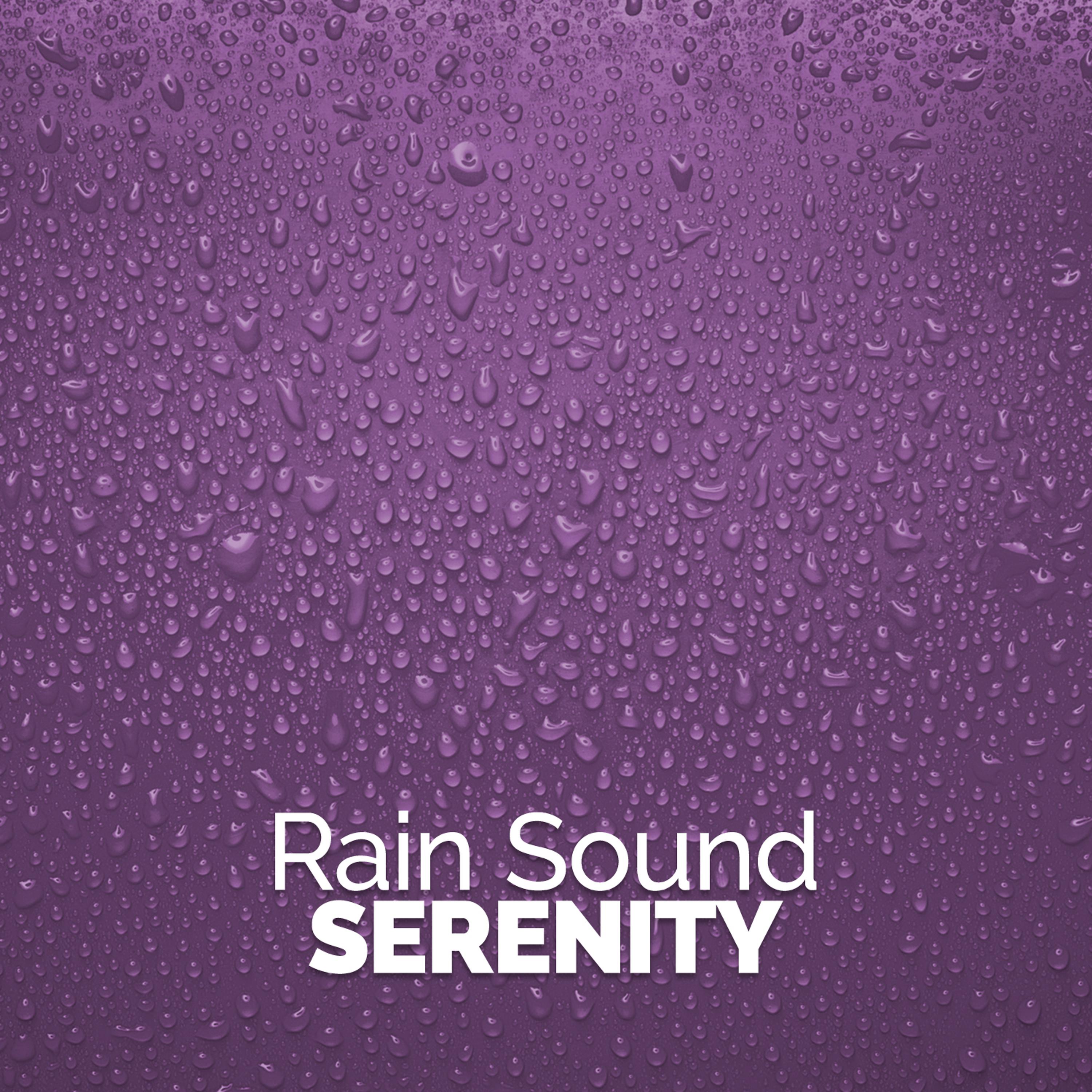 Постер альбома Rain Sound Serenity