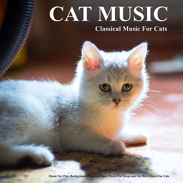 Постер альбома Cat Music: Classical Music For Cats, Music For Pets, Background Classical Piano Music For Sleep and The Best Music For Cats