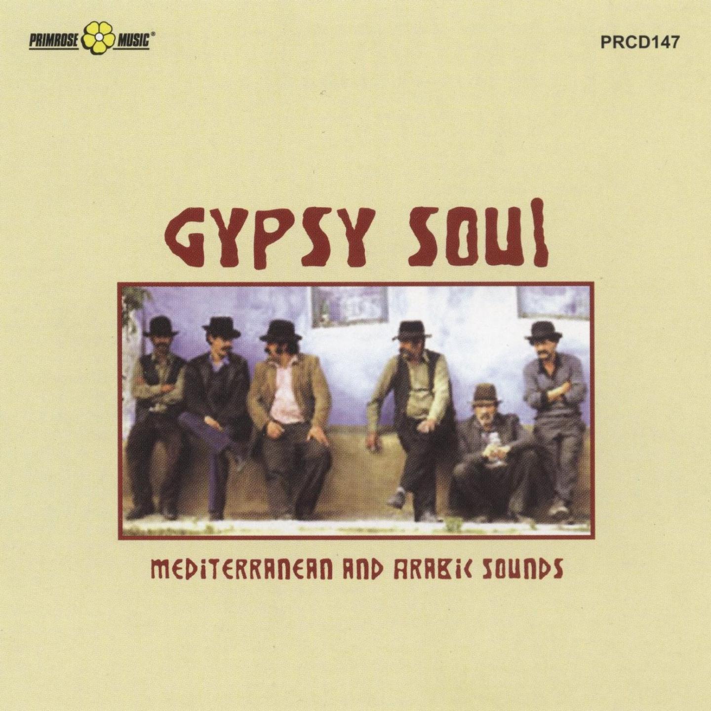 Постер альбома Gypsy Soul