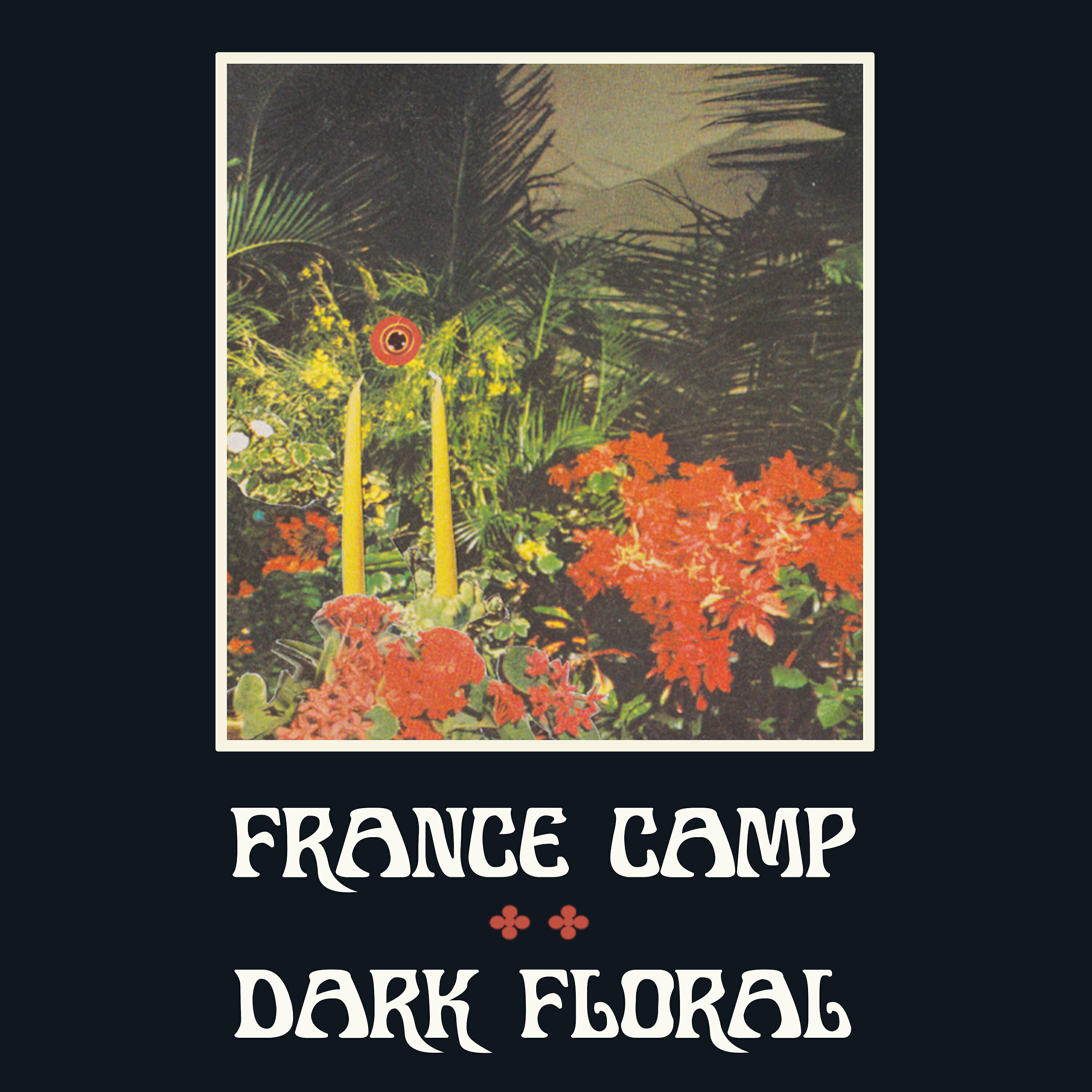 France Camp - Your Bicep