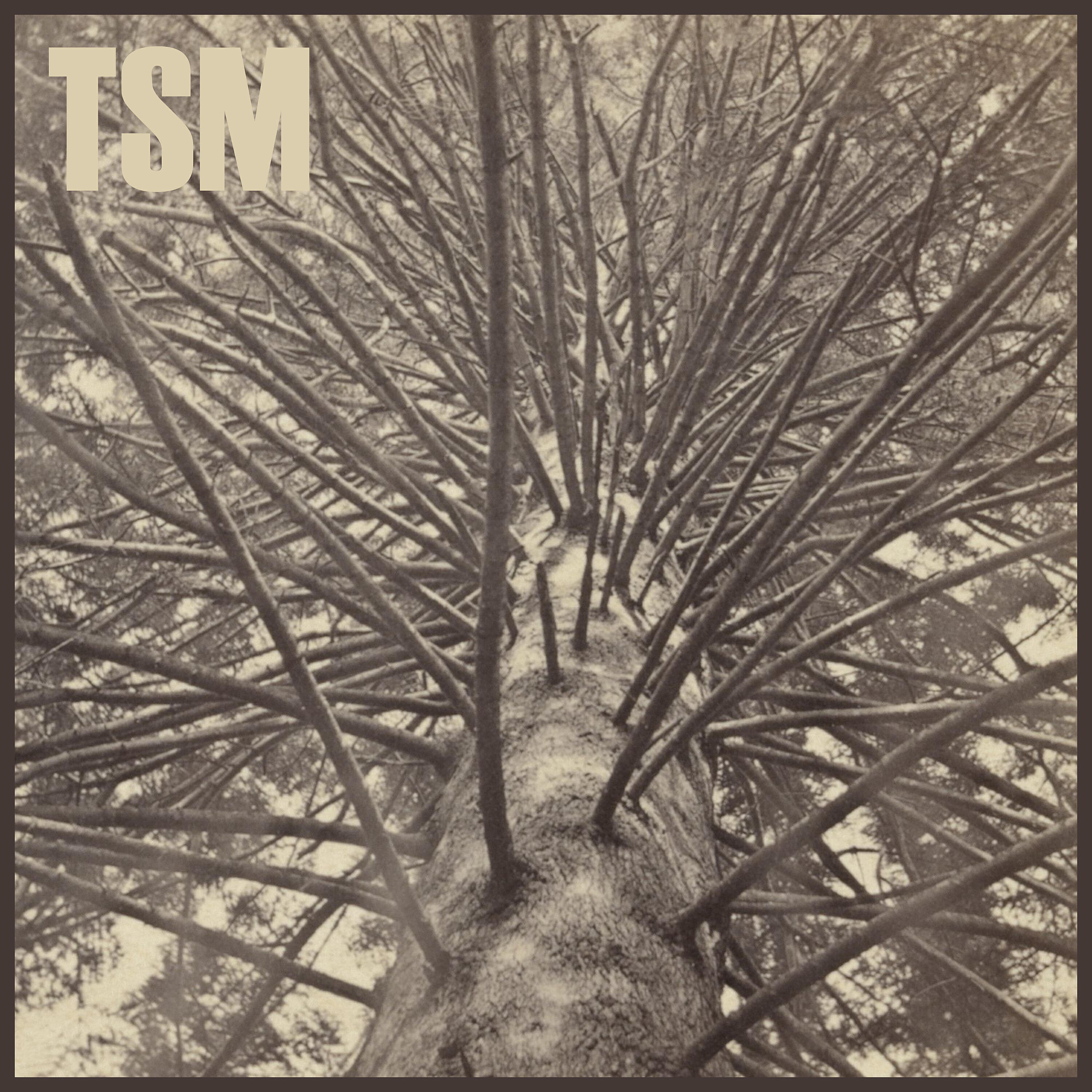 TSM - Where Is My Mind