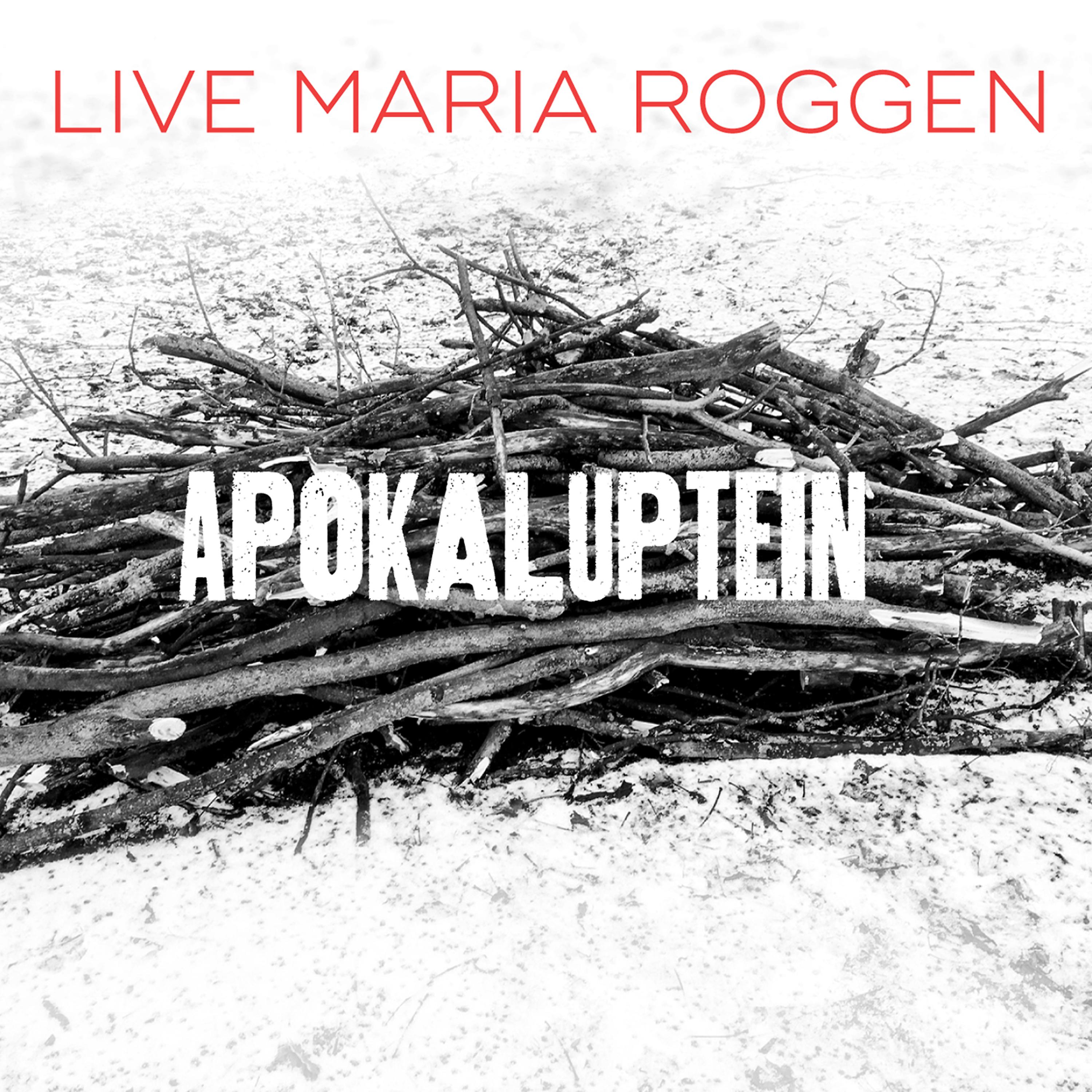 Постер альбома Apokaluptein