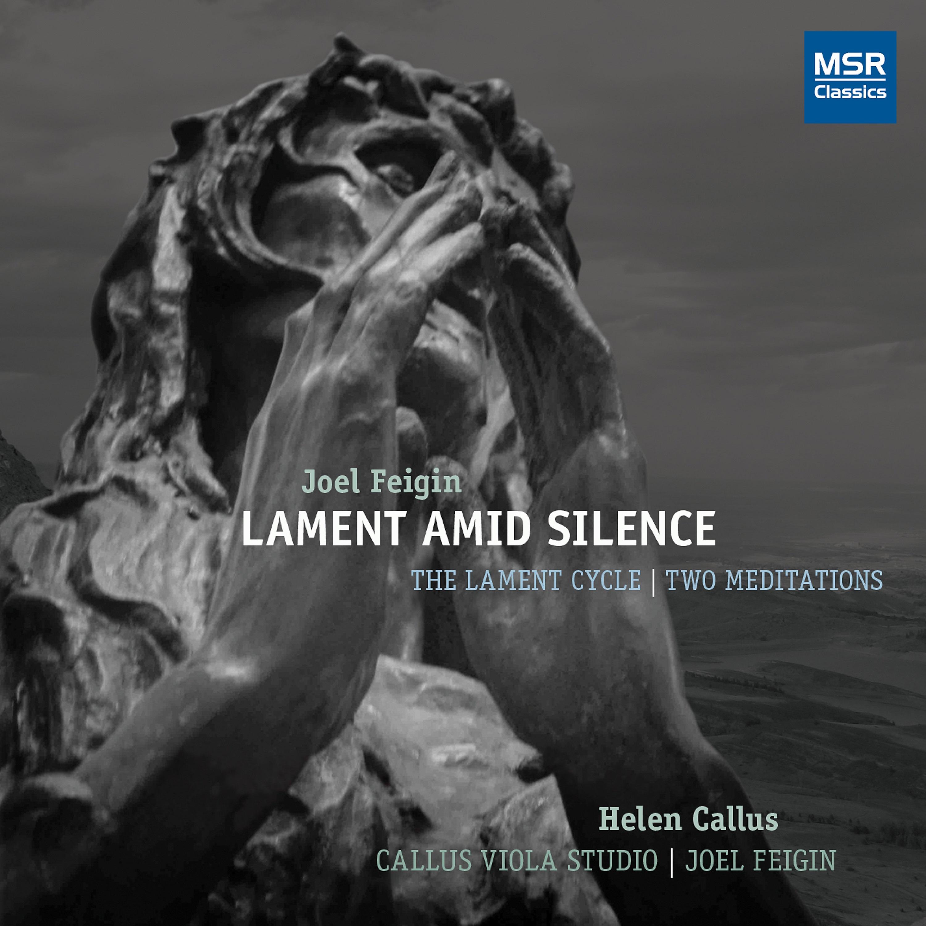Постер альбома Lament Amid Silence: The Lament Cycle and Meditations