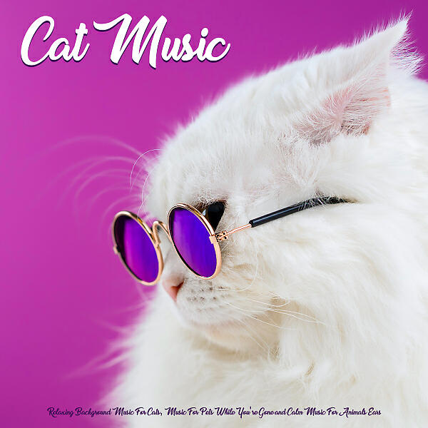 Cat Music - Music for Snuggling with your Cat