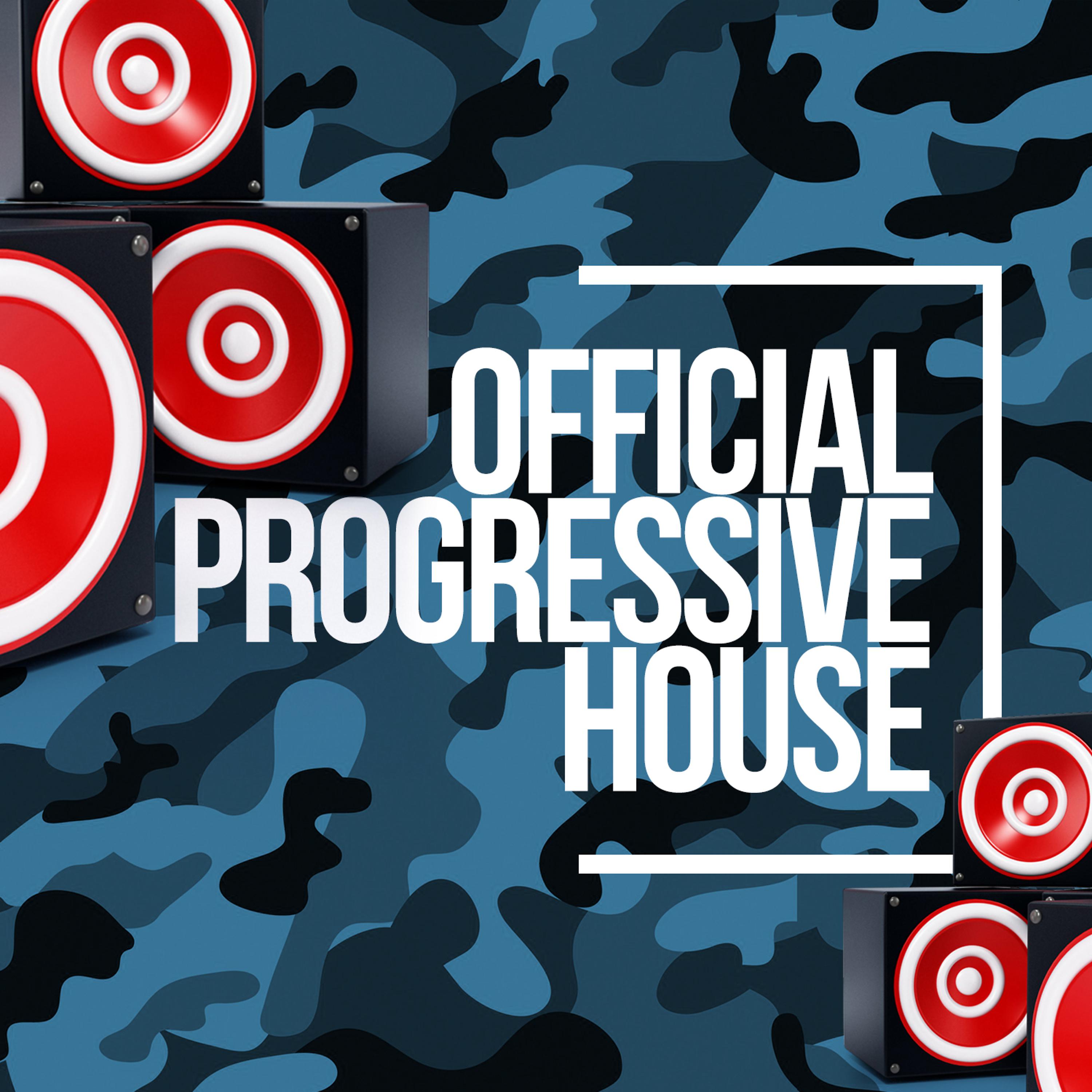Постер альбома Official Progressive House