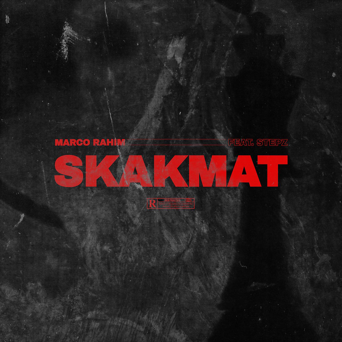 Постер альбома Skakmat