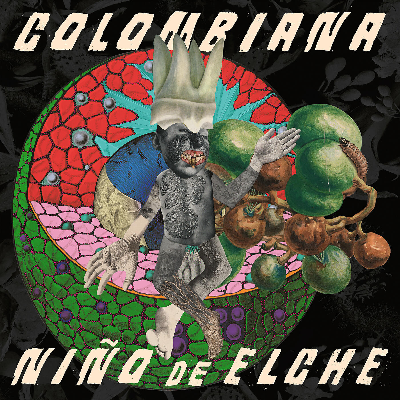 Niño de Elche - Peteneras Mexicanas