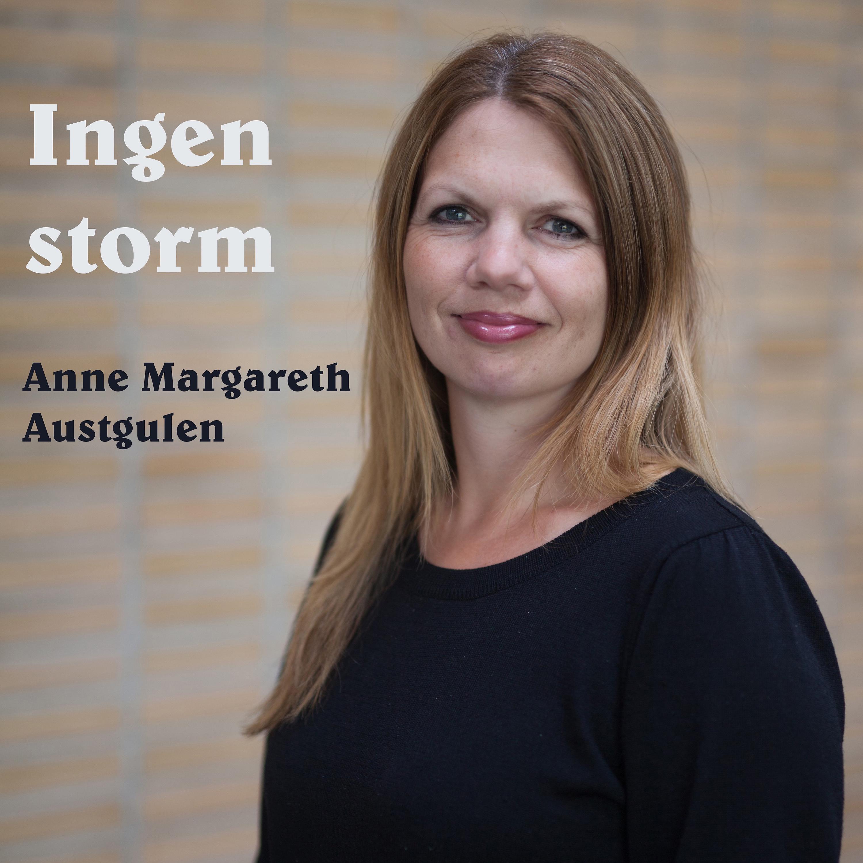 Постер альбома Ingen storm