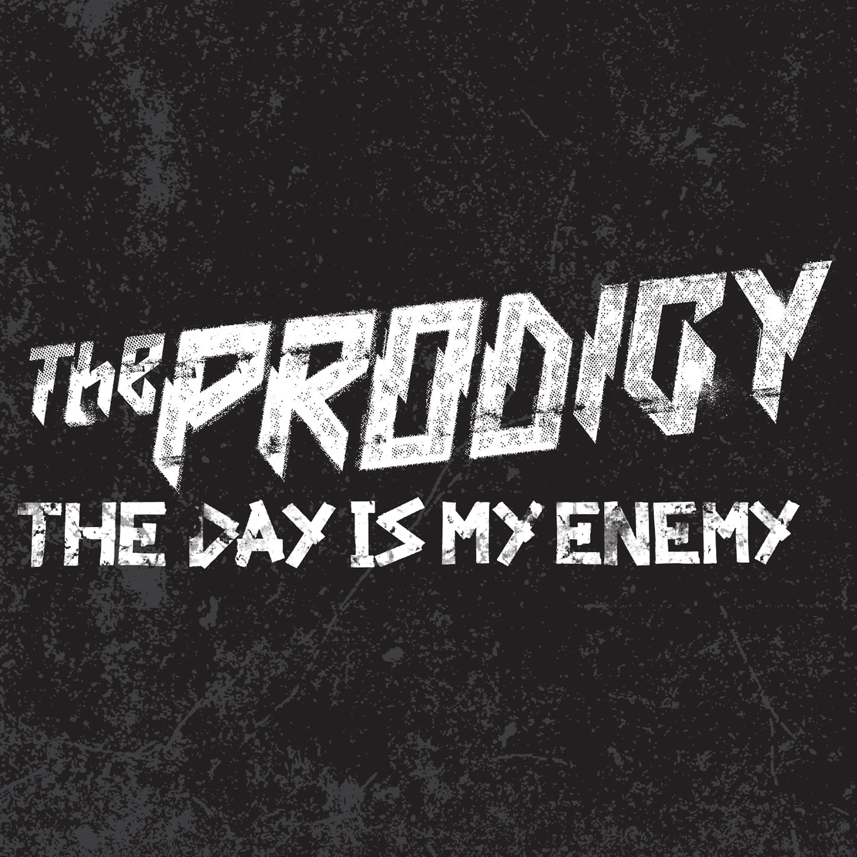 Постер альбома The Day Is My Enemy