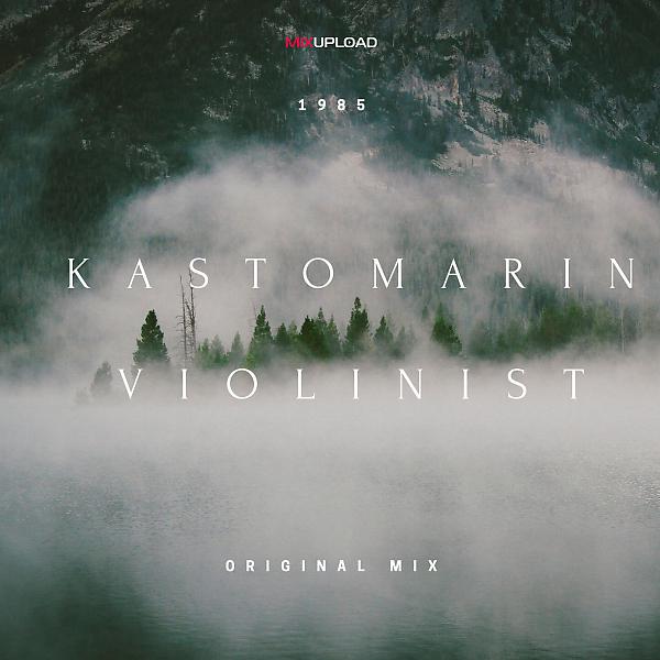 Постер альбома Violinist