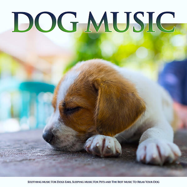 Dog Music - Background Music For Dogs