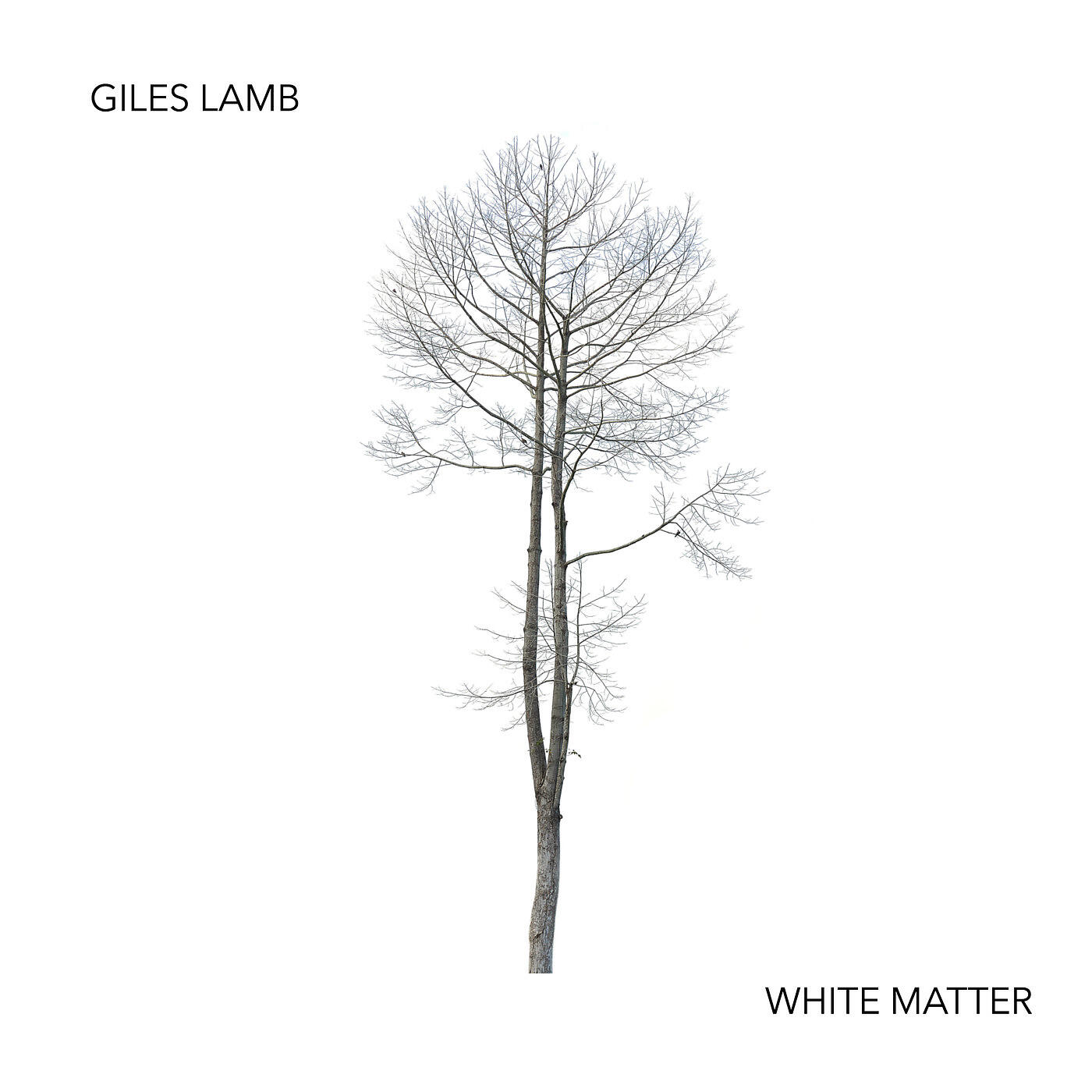 Giles Lamb - White Zombie