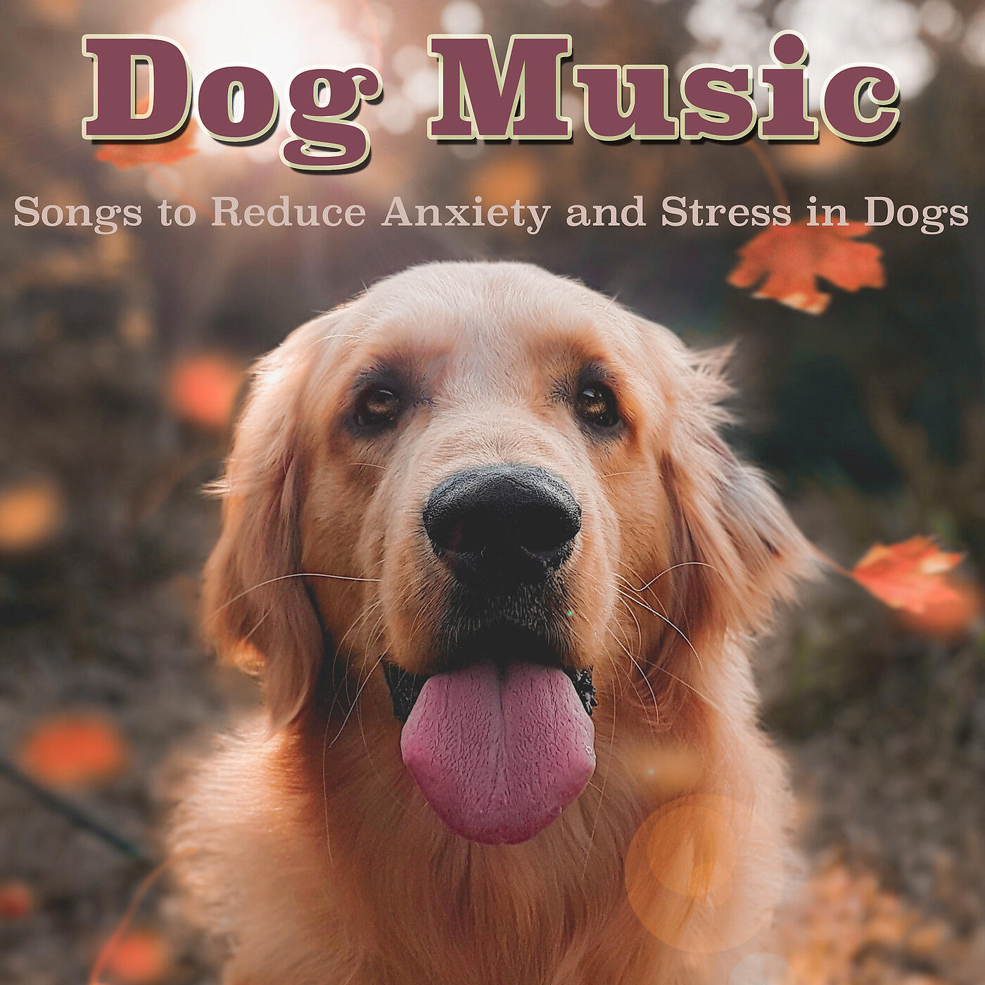 RelaxMyDog - Clever Dog