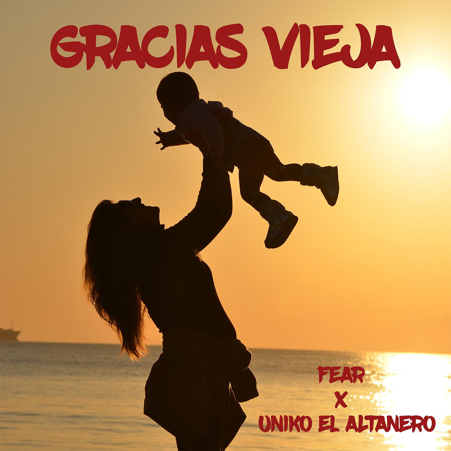 Постер альбома Gracias Vieja (feat. Fear)