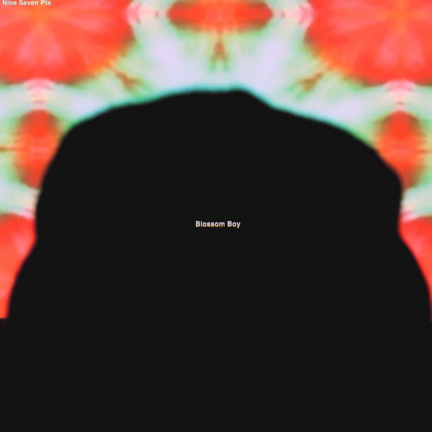 Nine Seven Pta - Blossom Boy