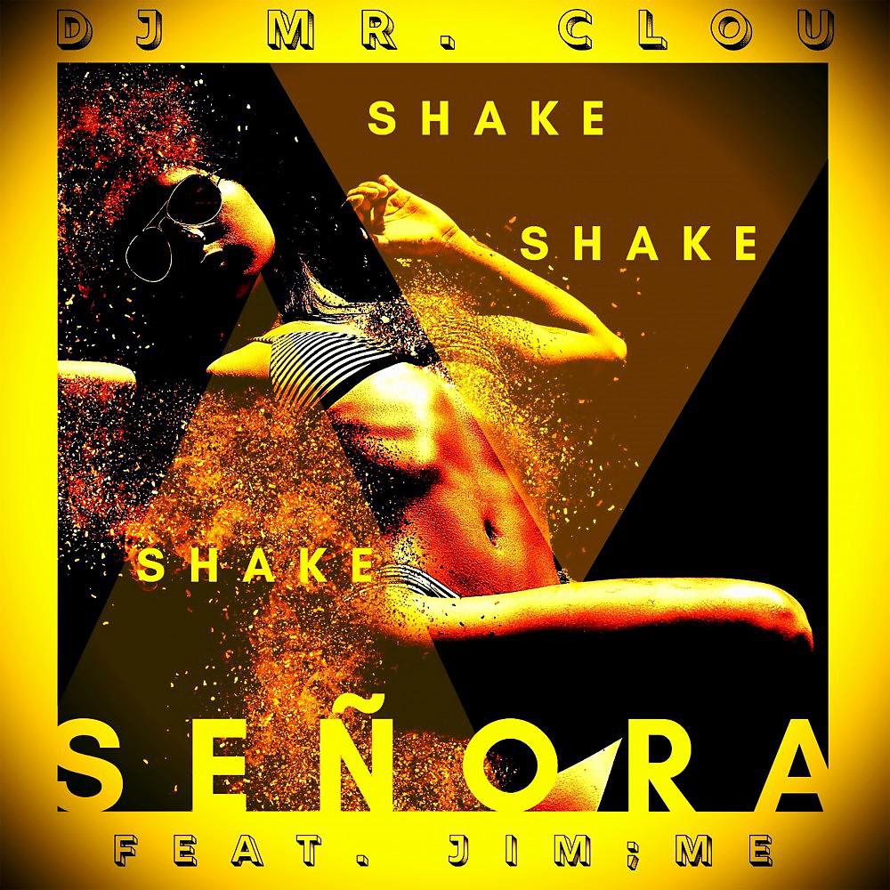 Постер альбома Shake Señora (Radio Edit)