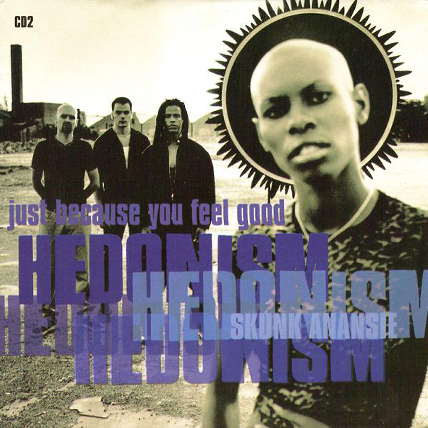 Skunk Anansie - Hedonism (Just Because You Feel Good) (Allegedly Acoustic Mix)