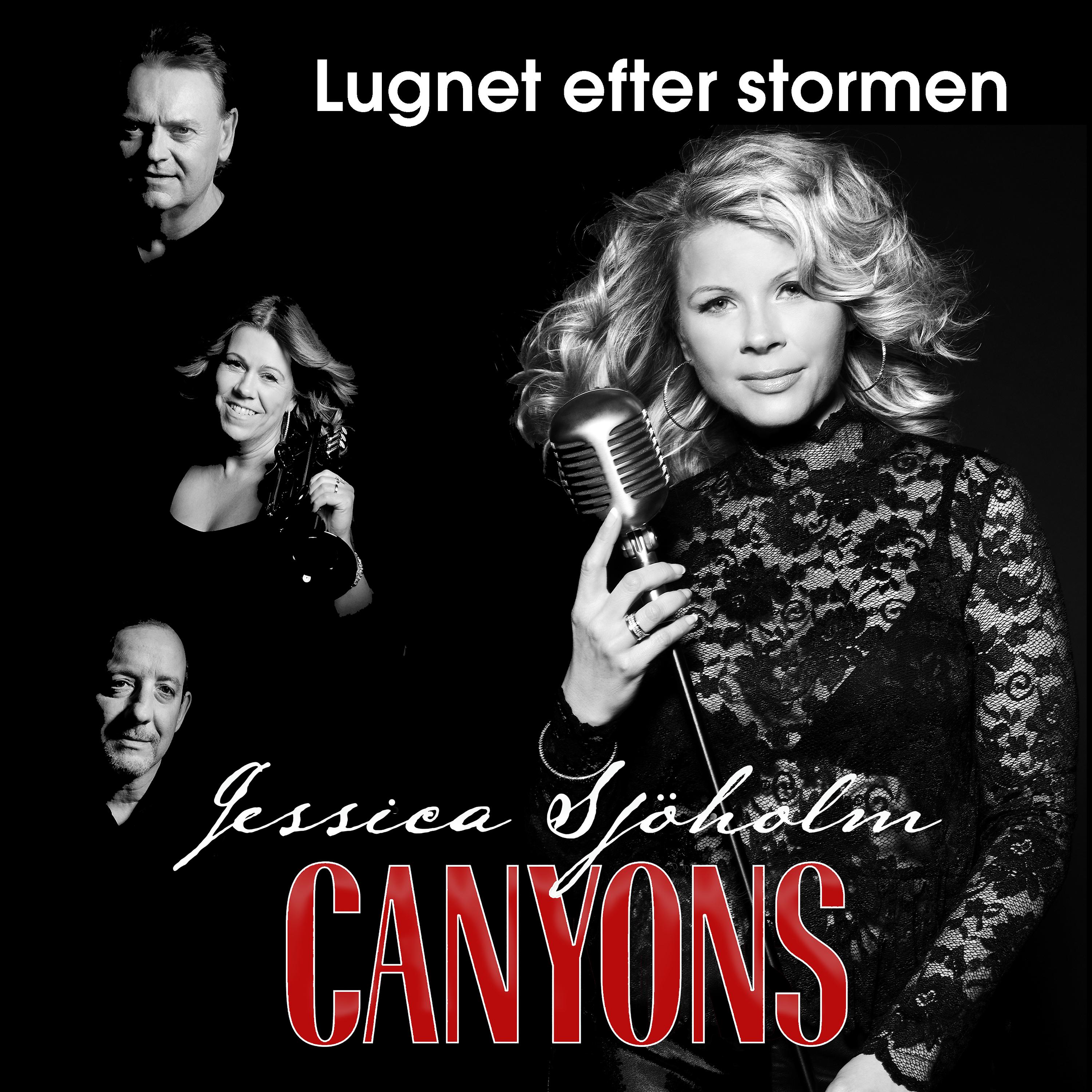 Постер альбома Lugnet efter stormen