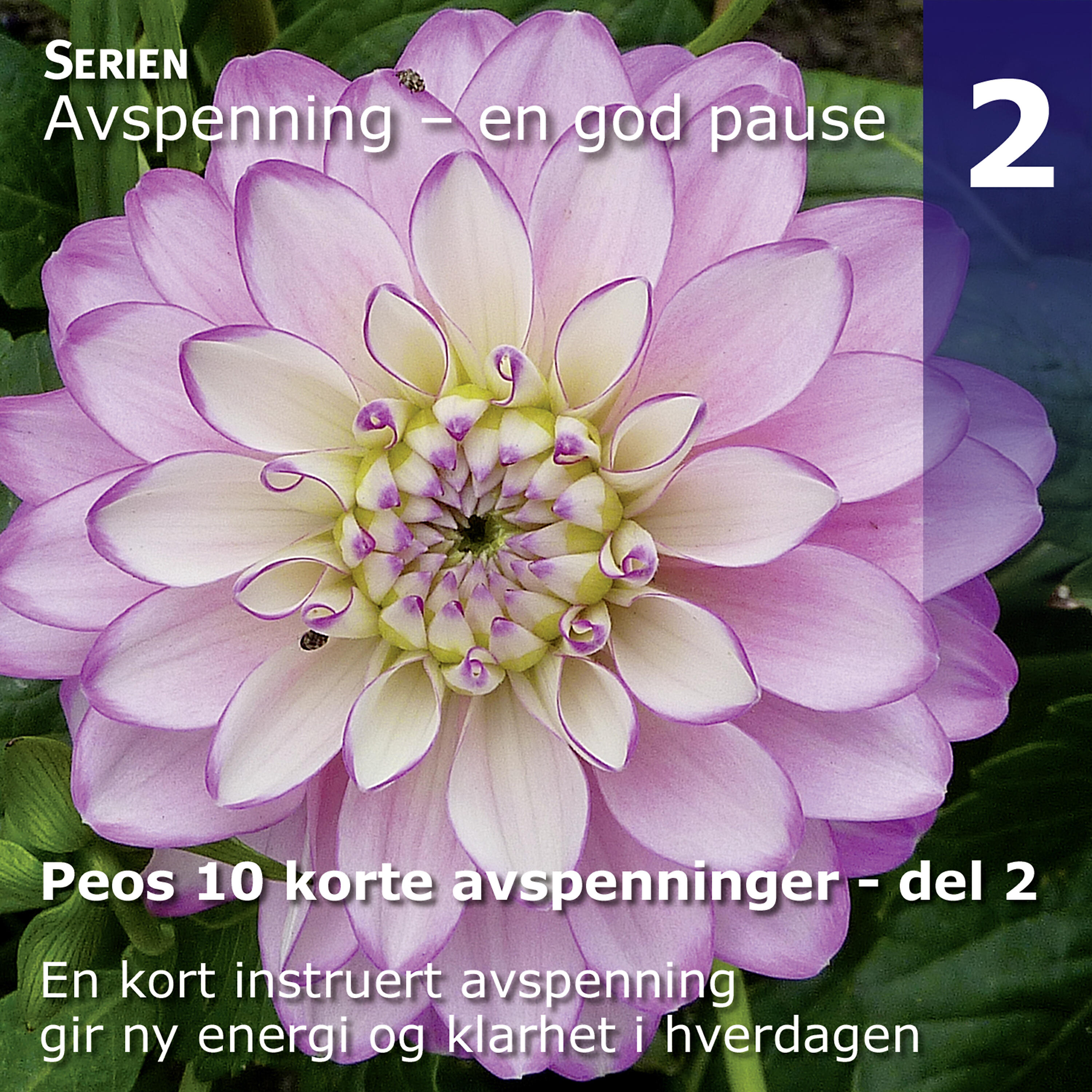 PEO - Den Enkle Dybdeavspenningen