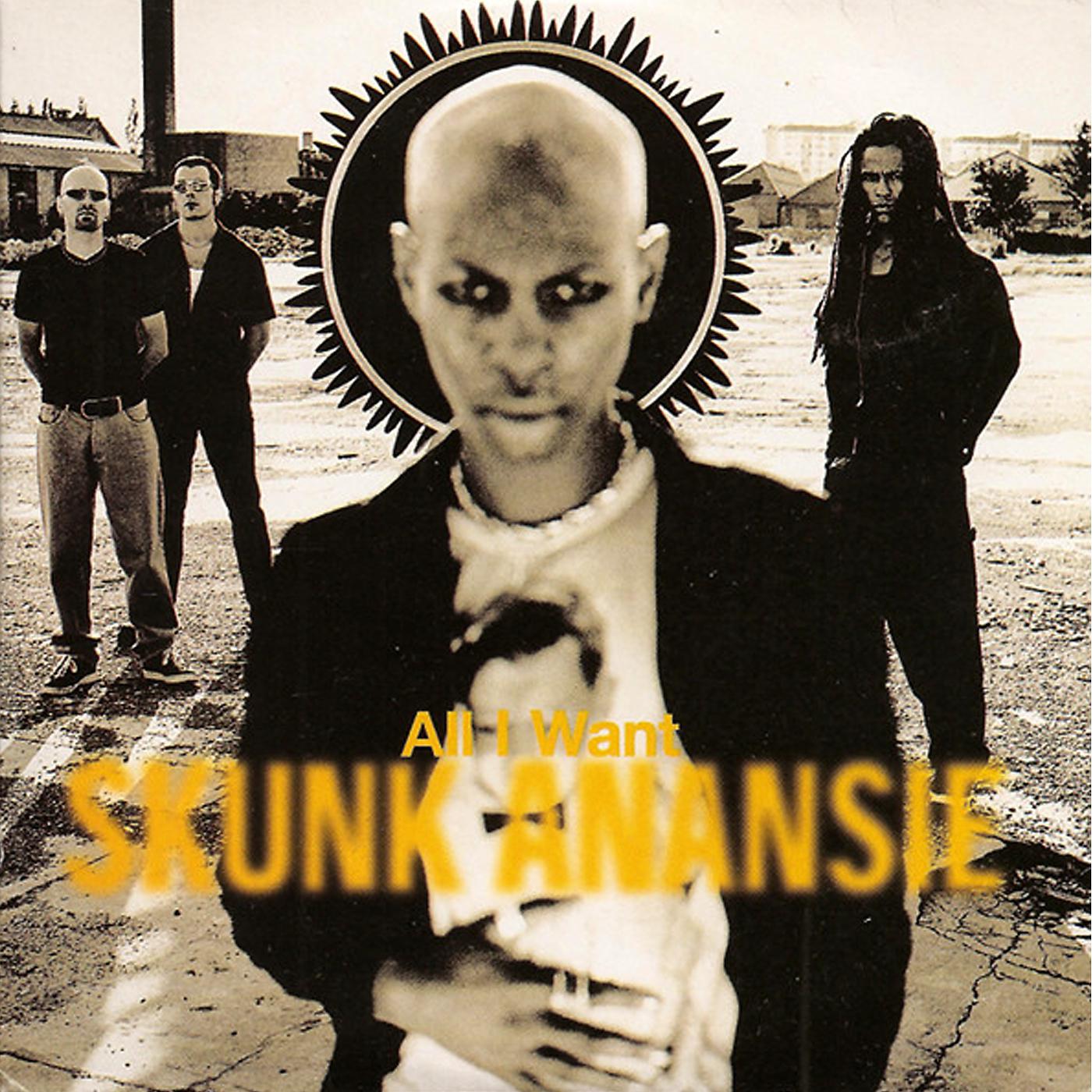 Skunk Anansie - All I Want (DVS Mix)